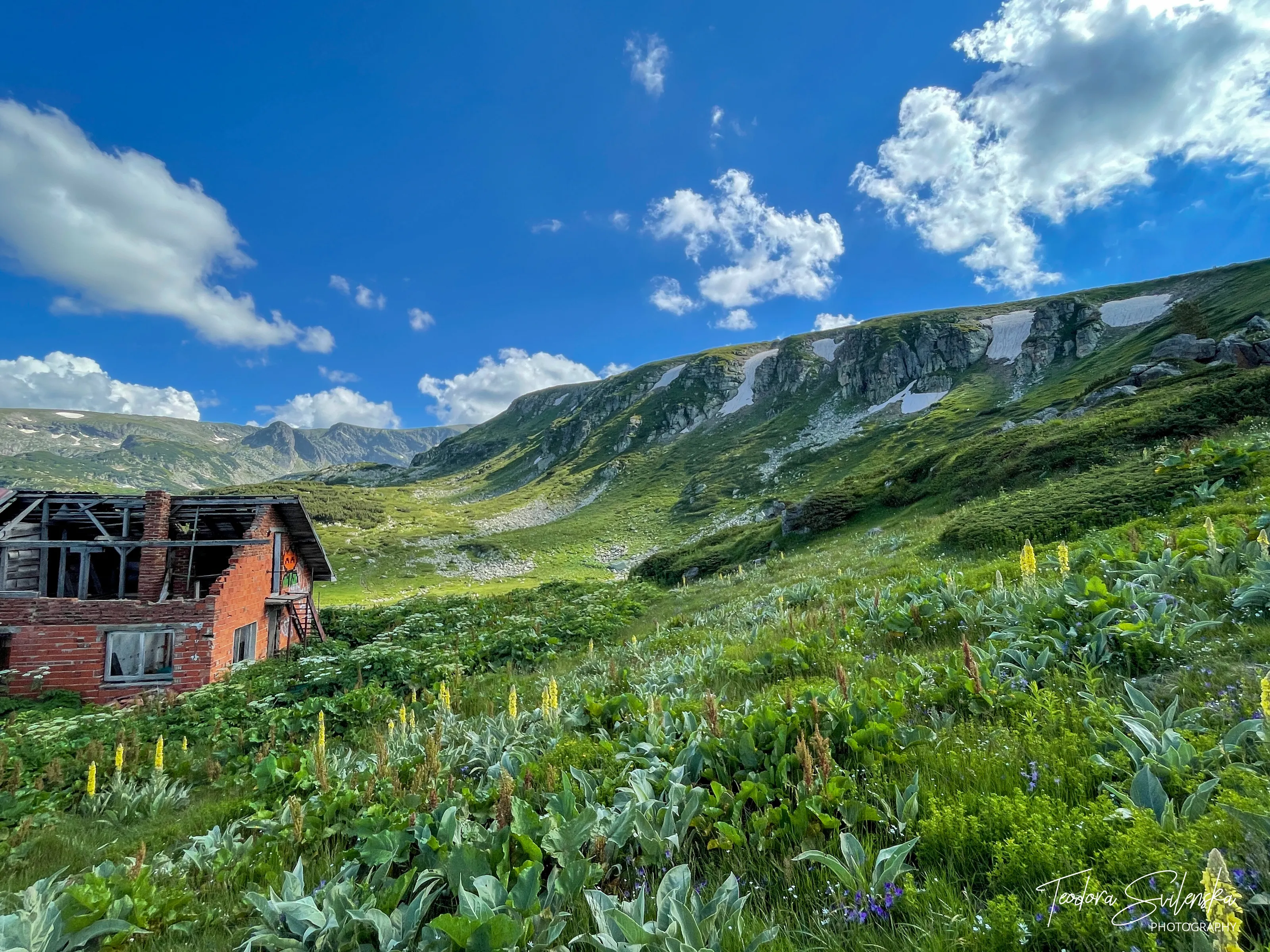 Little House in the Mountains