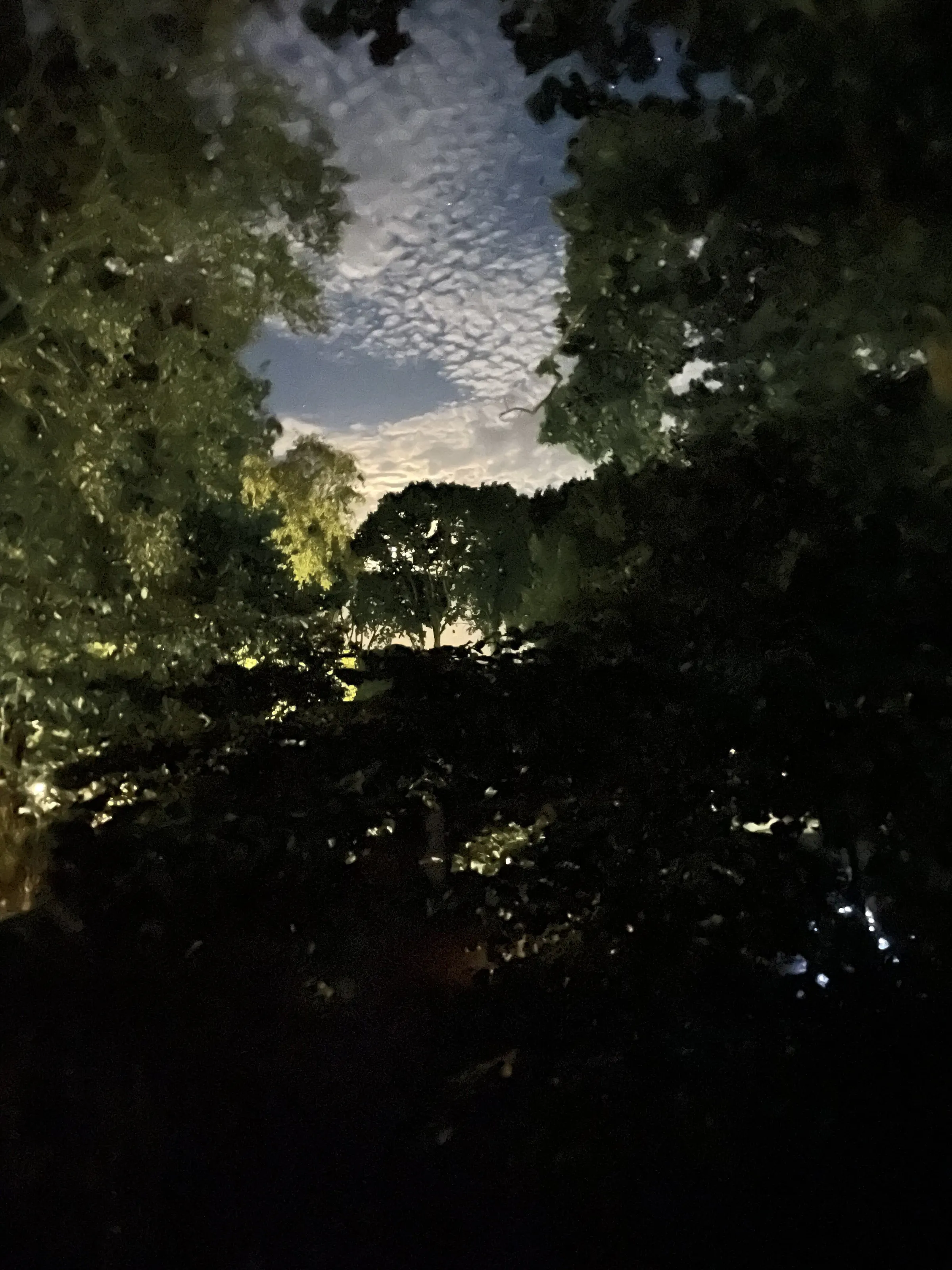 Night sky