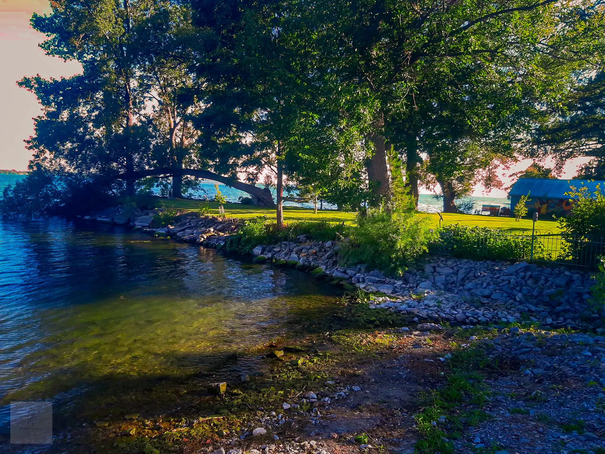 Shade by the Lake