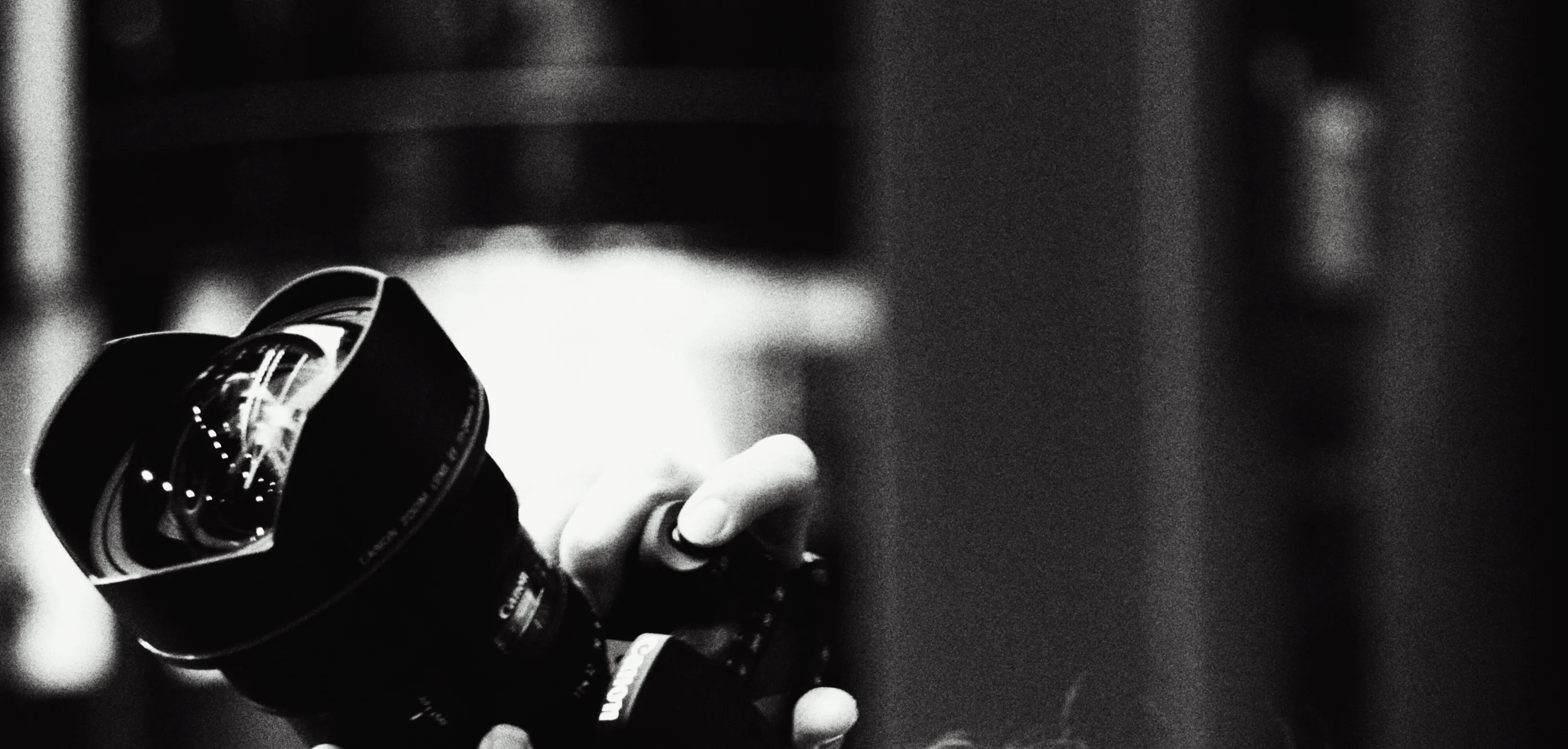 Banner image