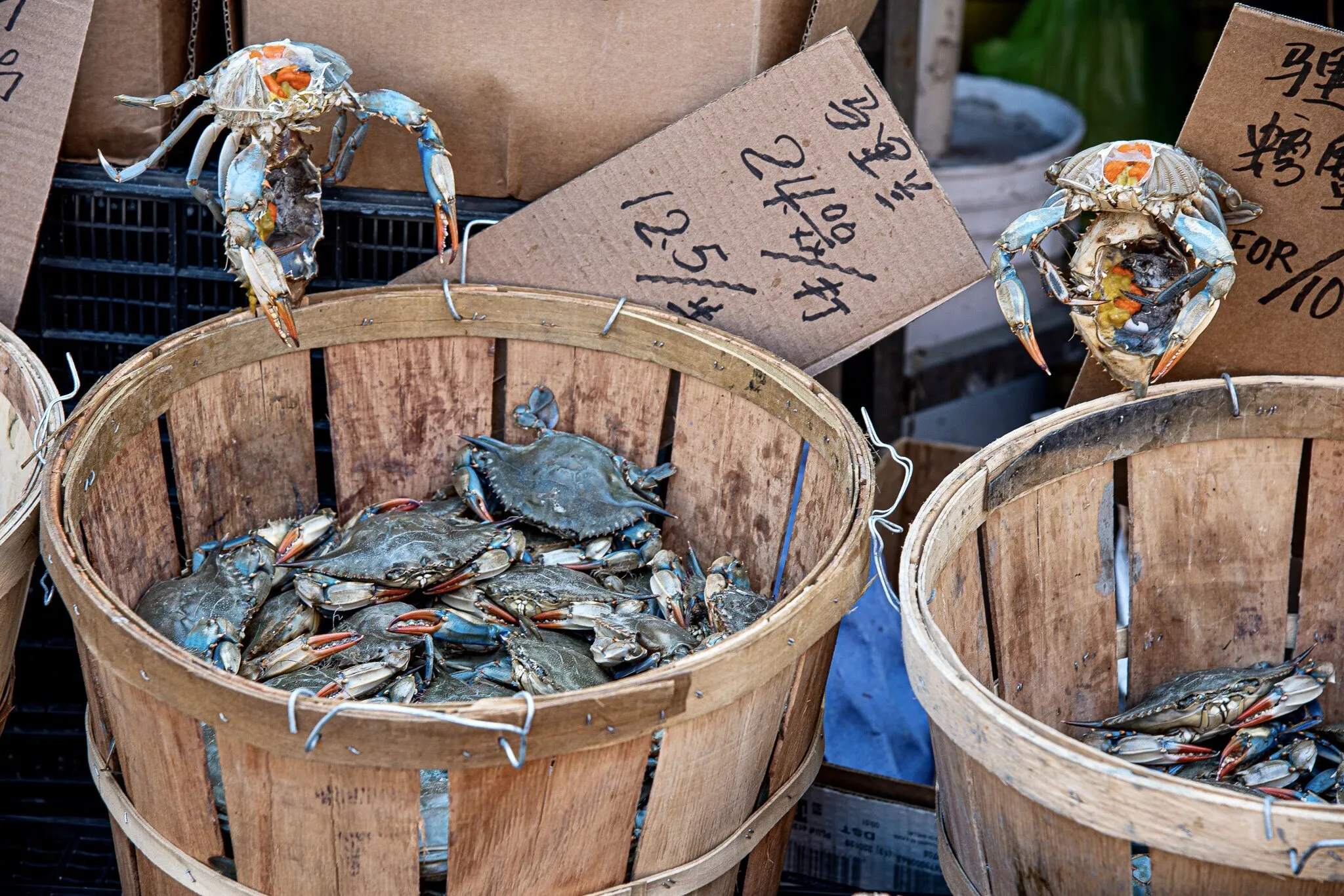 Chinatown Crabs