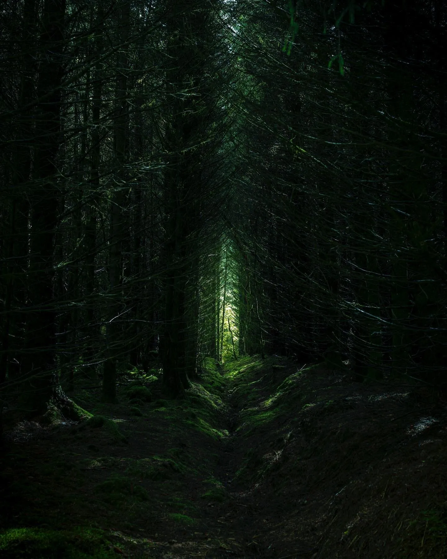 Gaia calling.