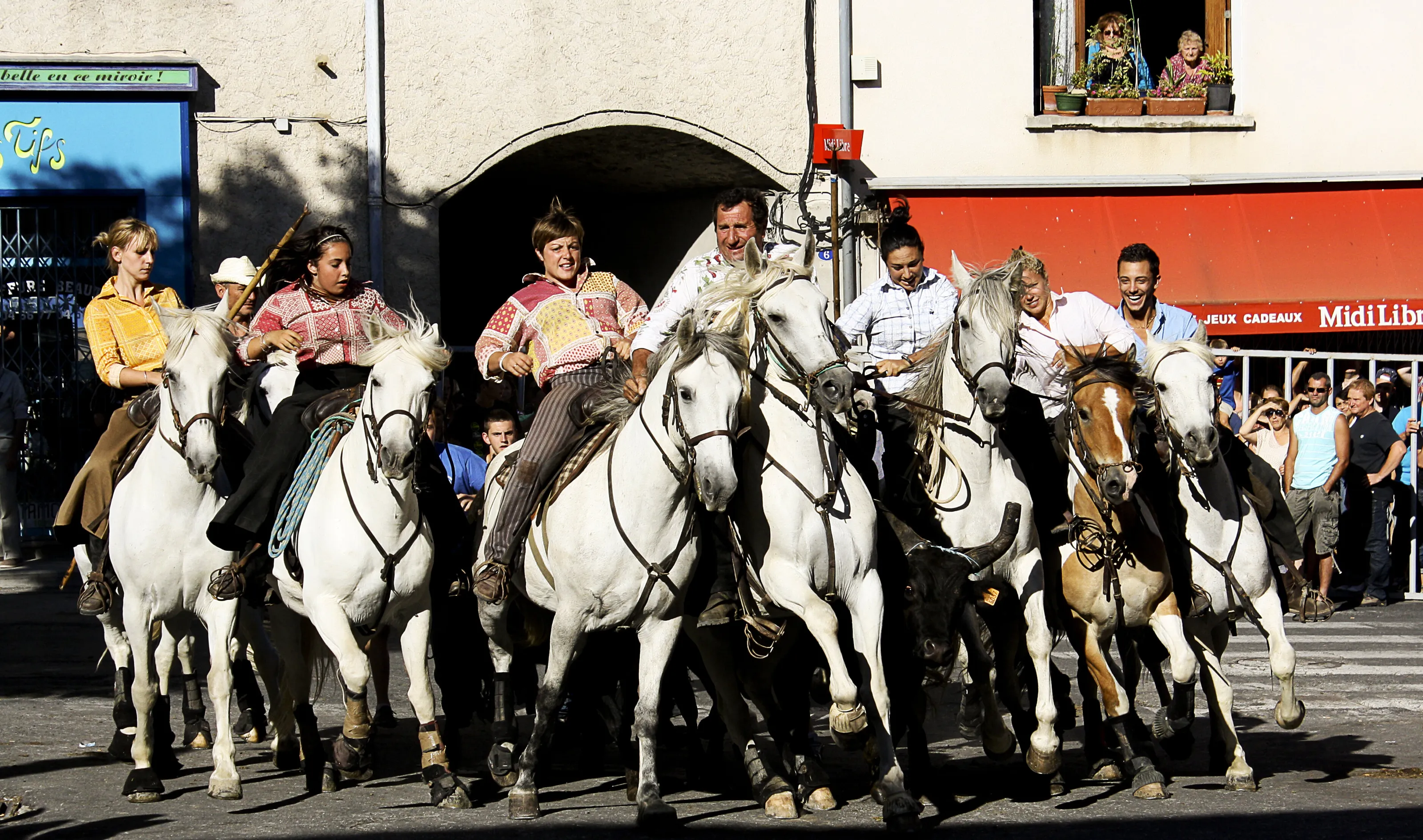 Festival Camargue   at Sauve