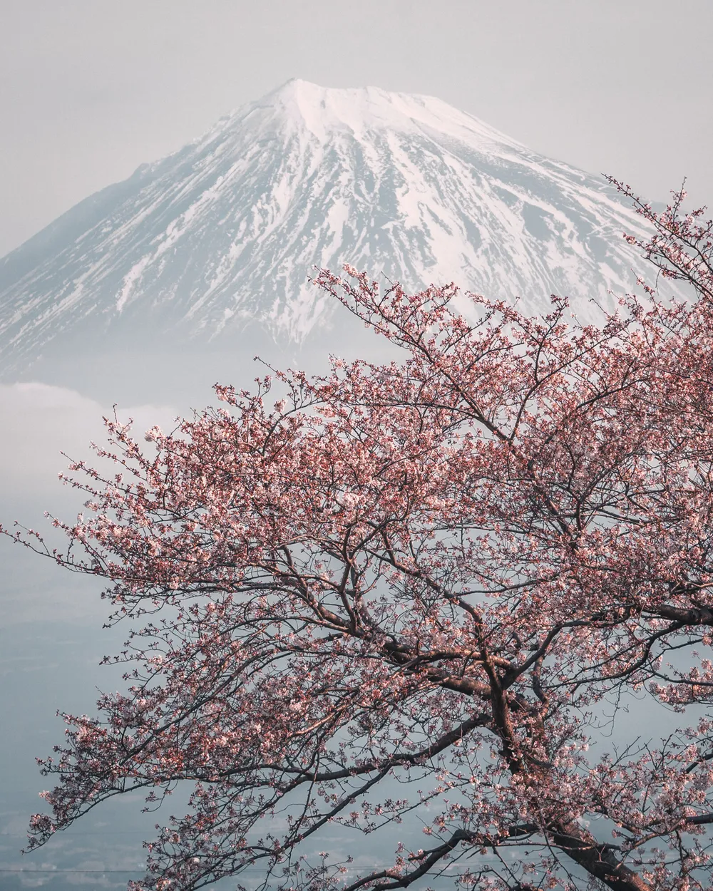 Untitled image