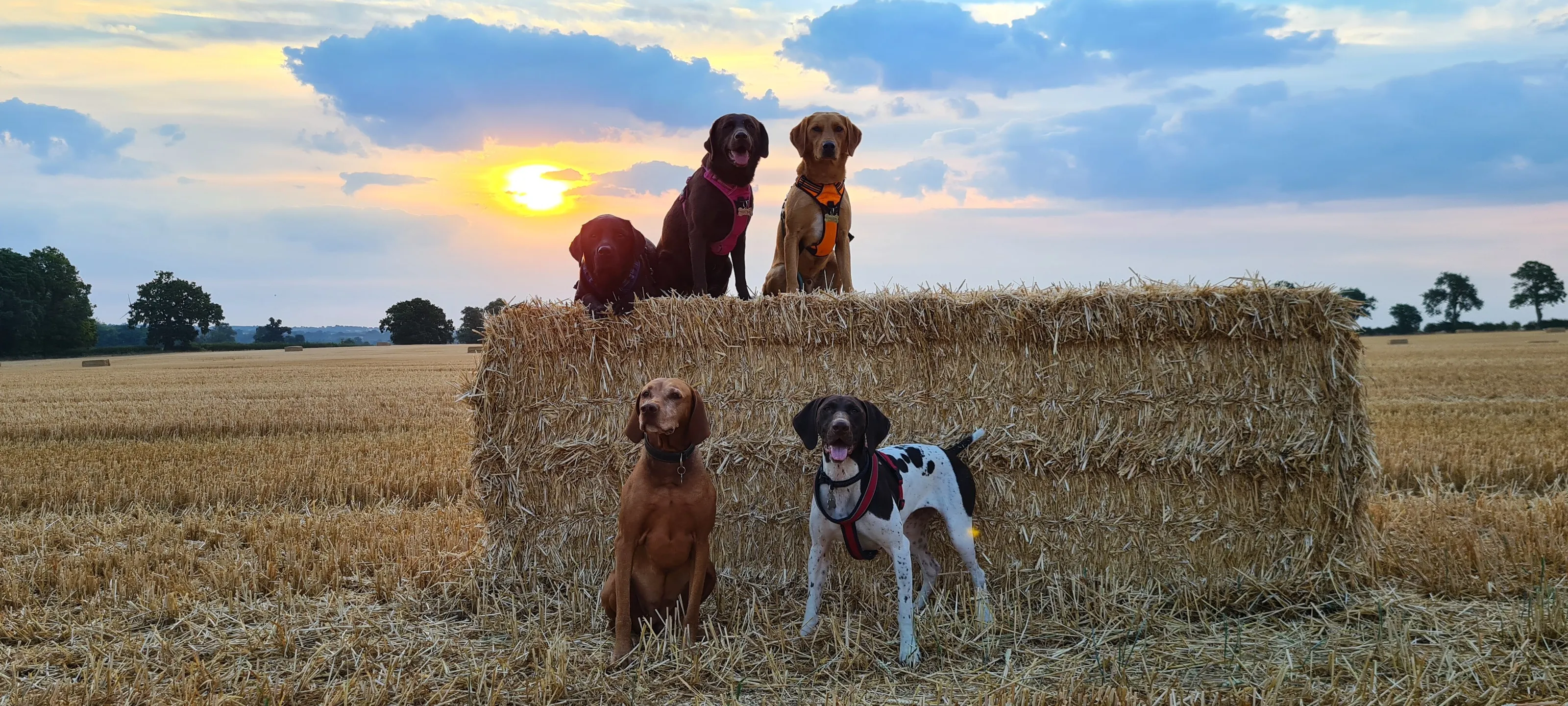 Sunrise walk