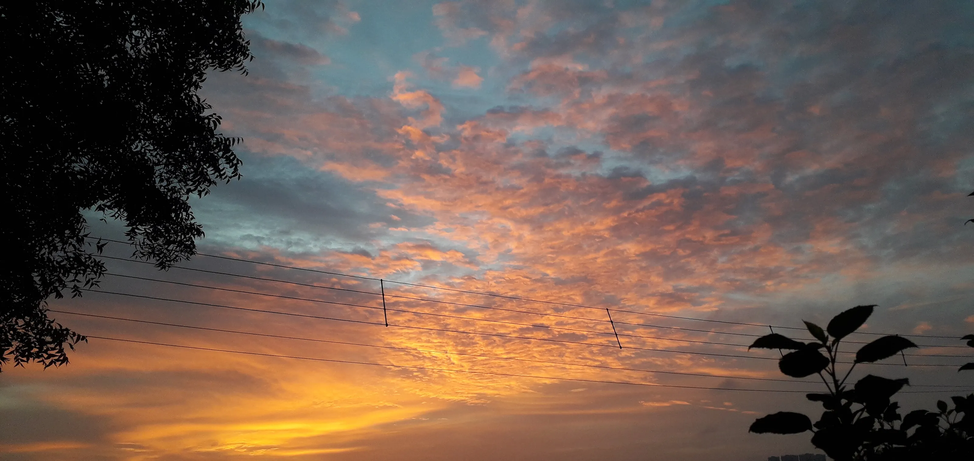 Pink shades on Blue Sky