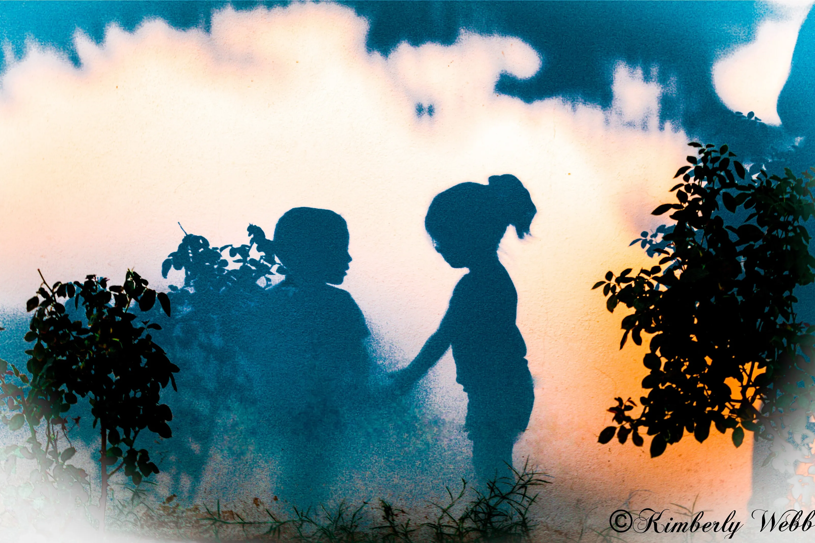 Summer Shadows