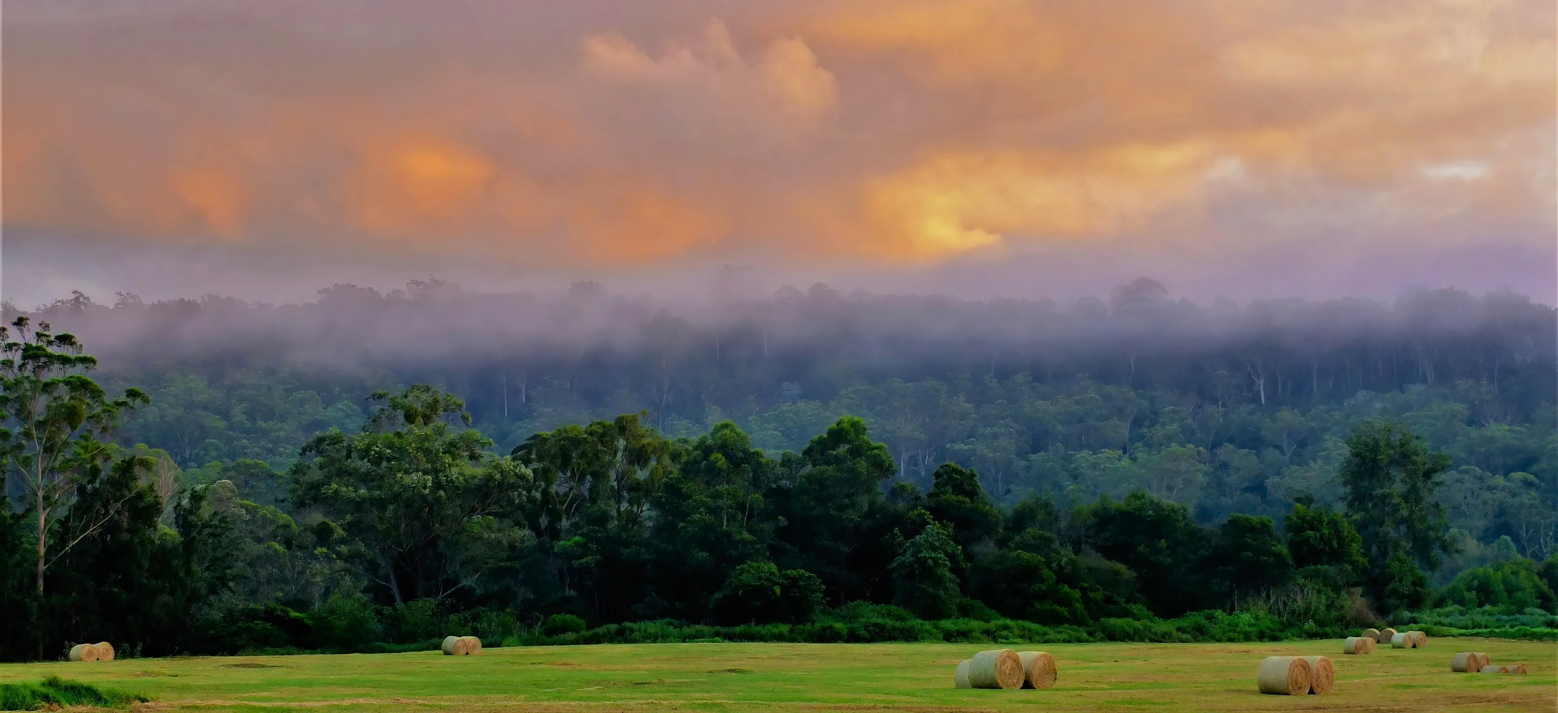 Misty Country Sunrise