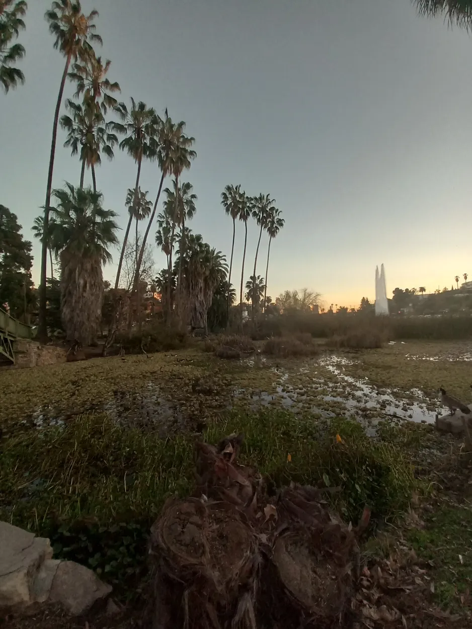 Entry 13775604