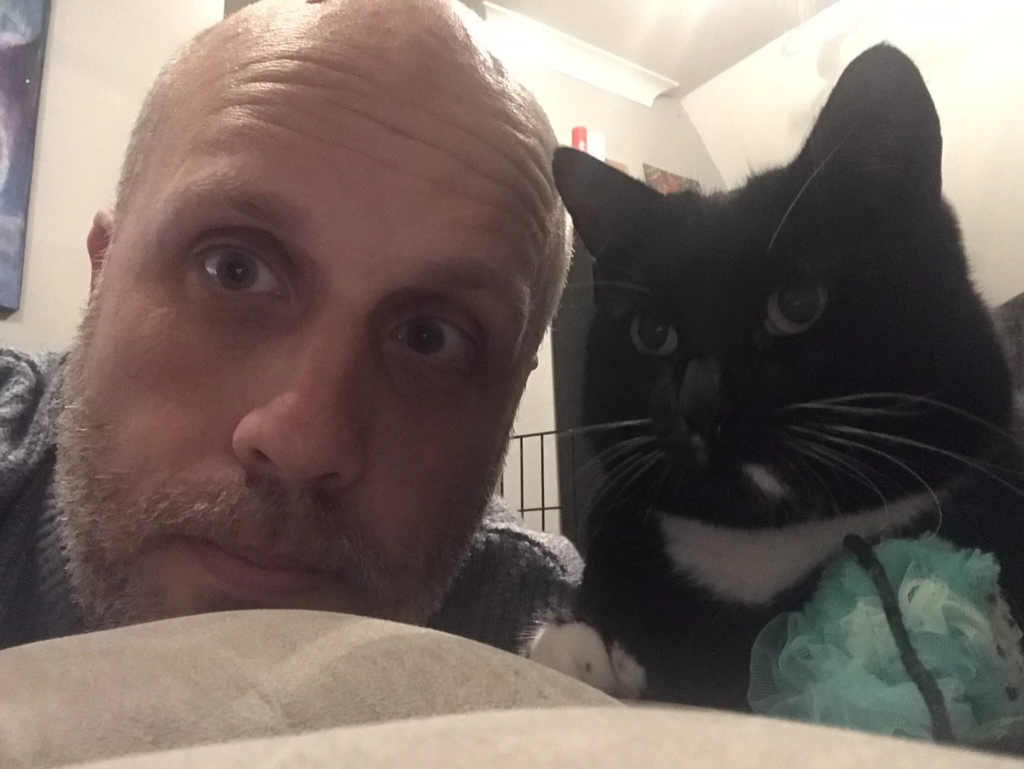 Me and my Cat