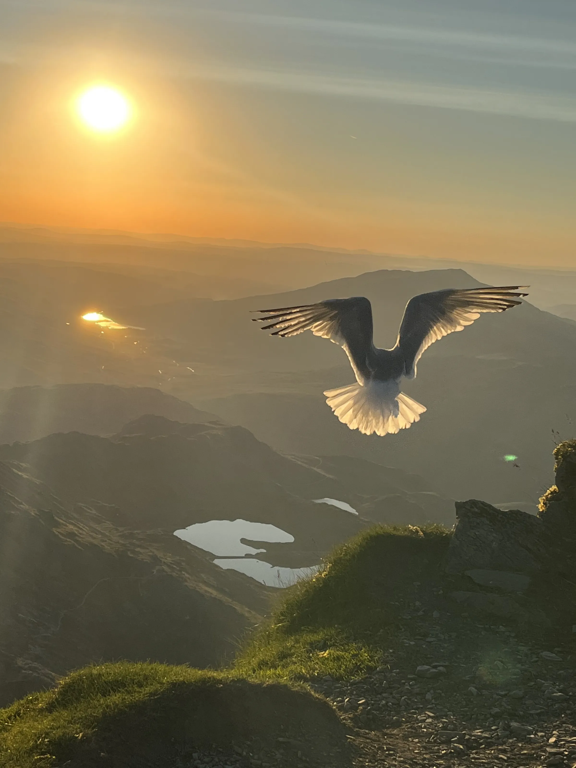 Banner image