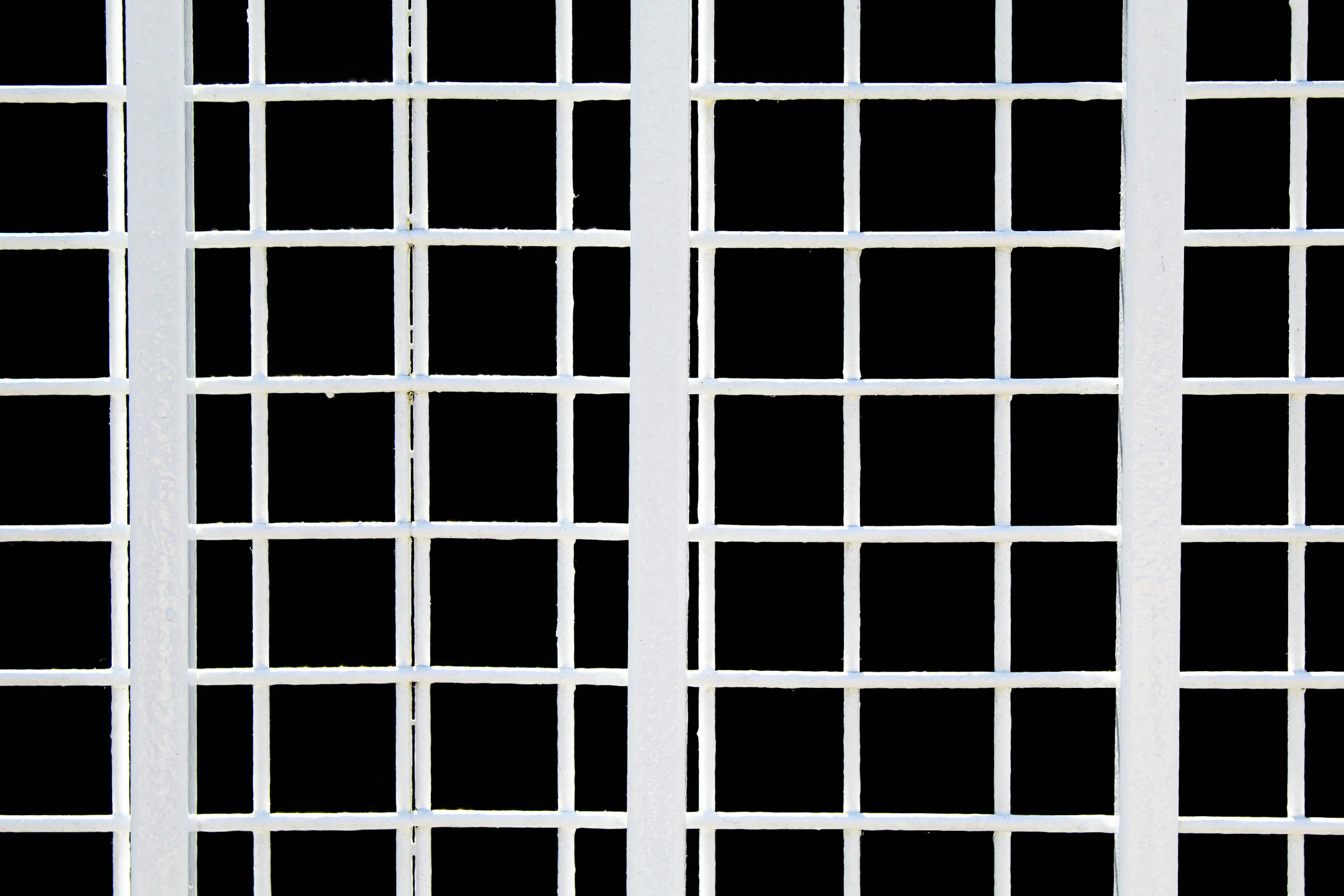 Contrasting Fence