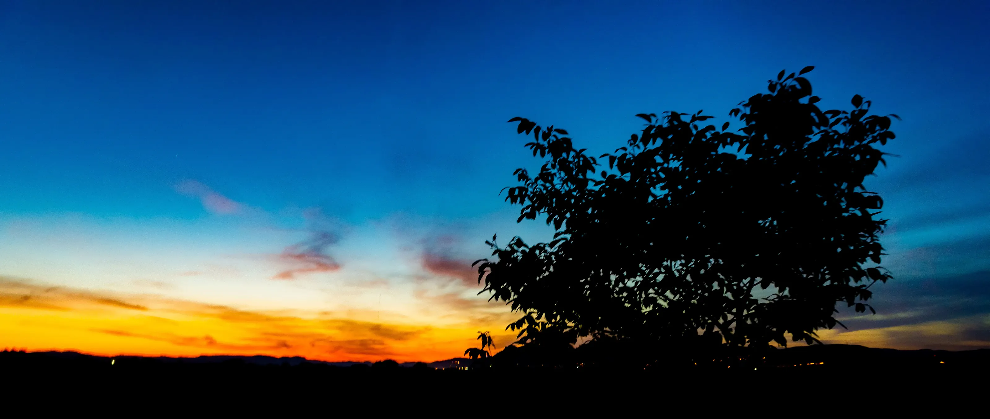 true colors