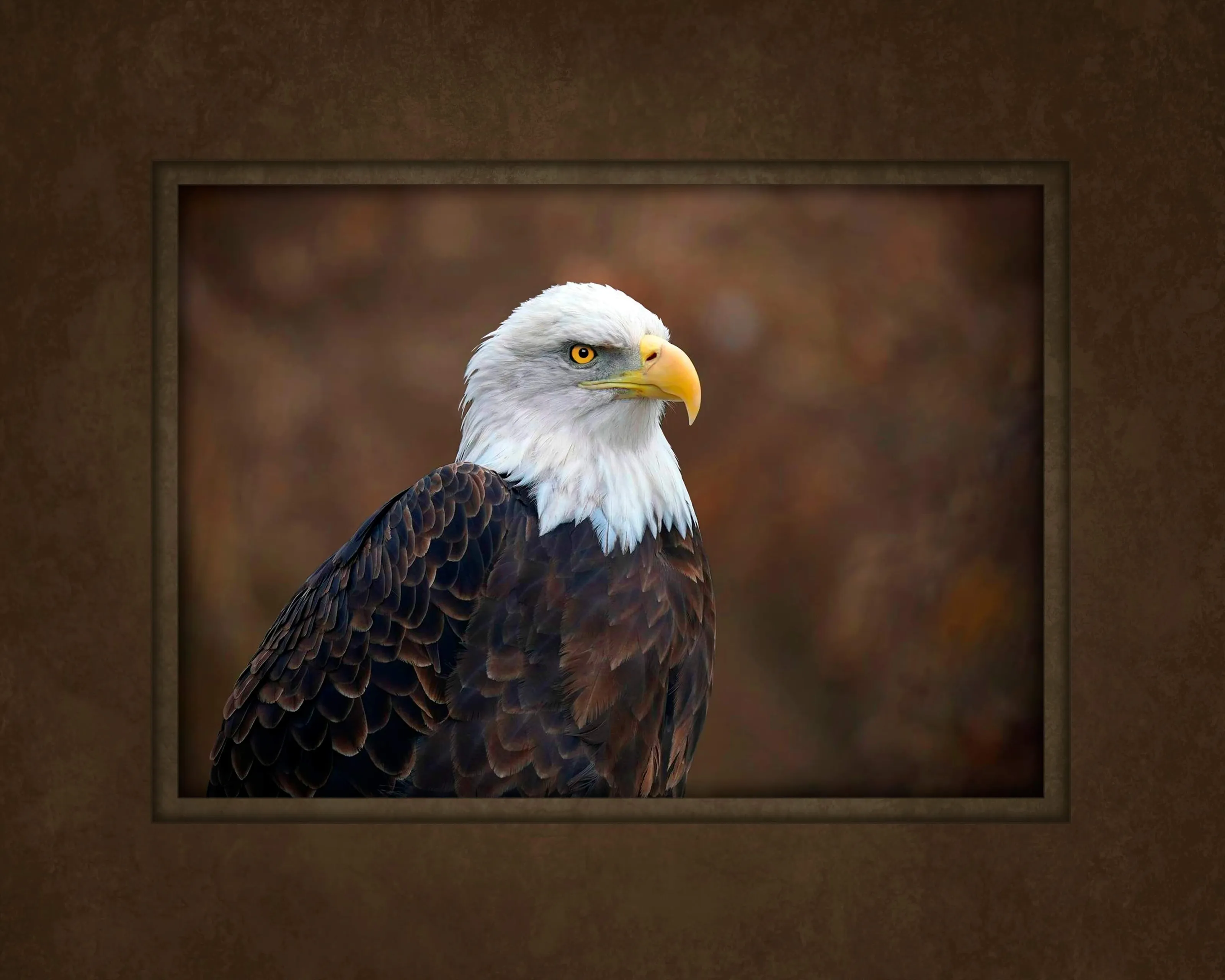 Majestic Freedom