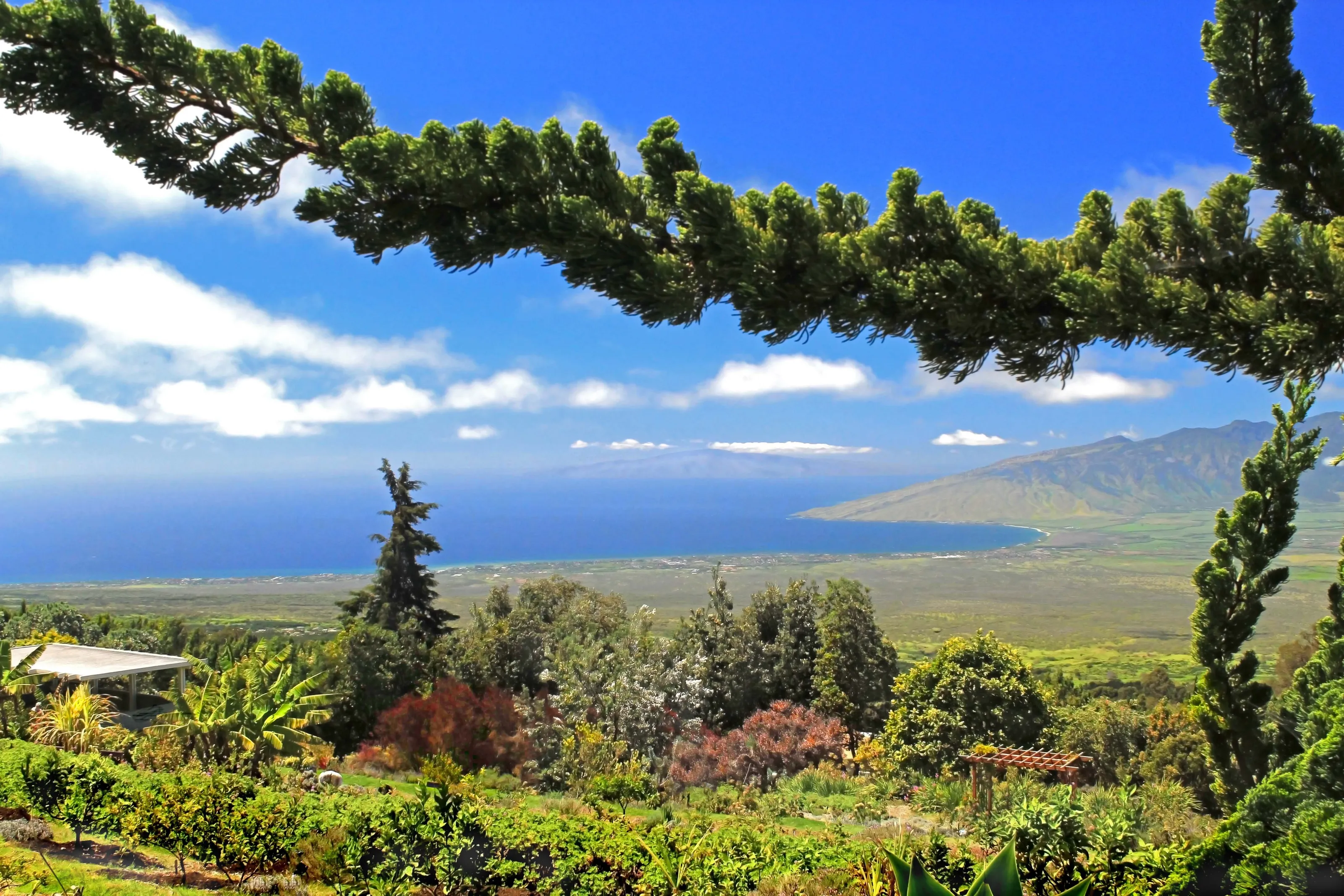 Upcountry