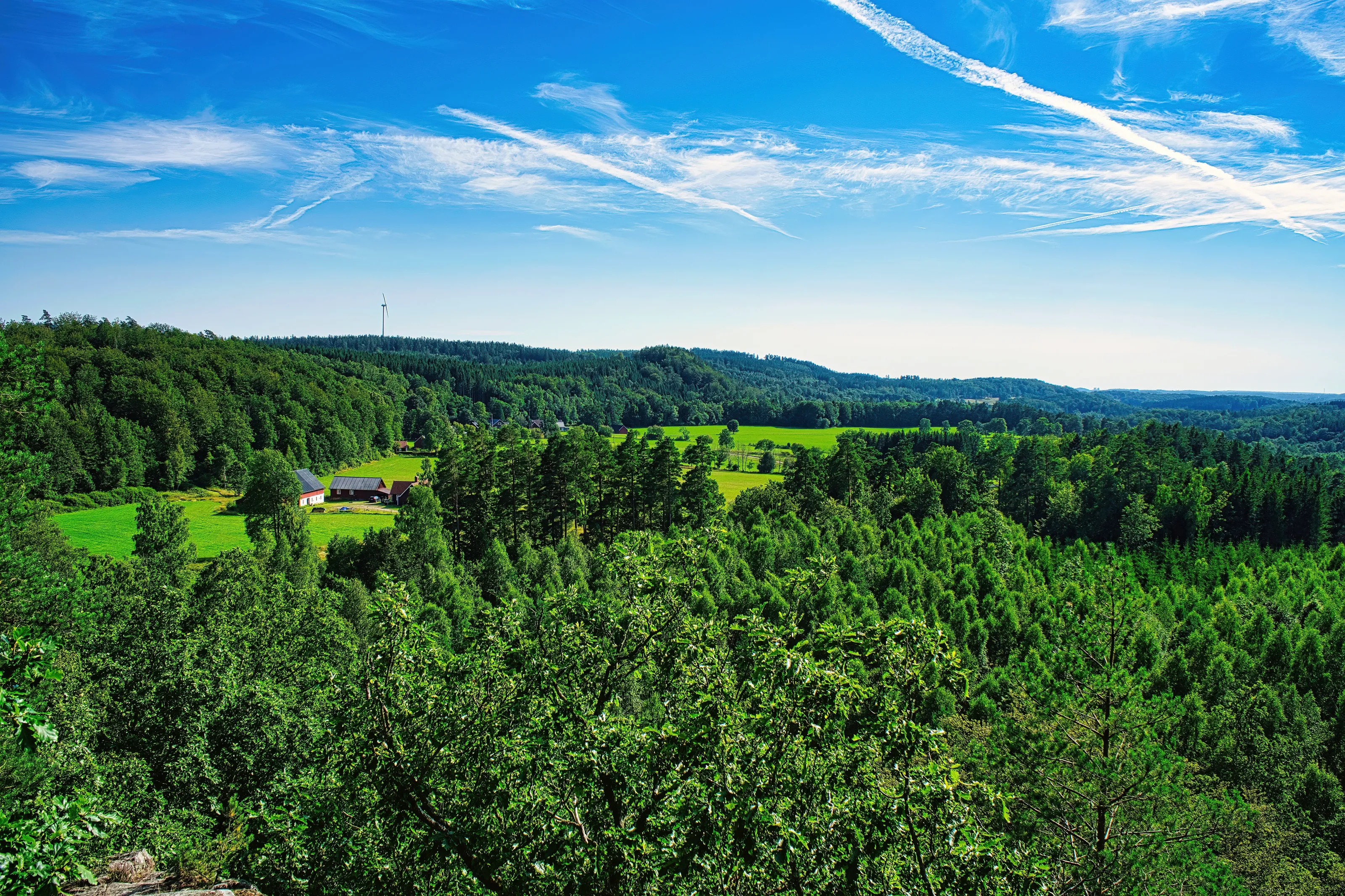 Landscape