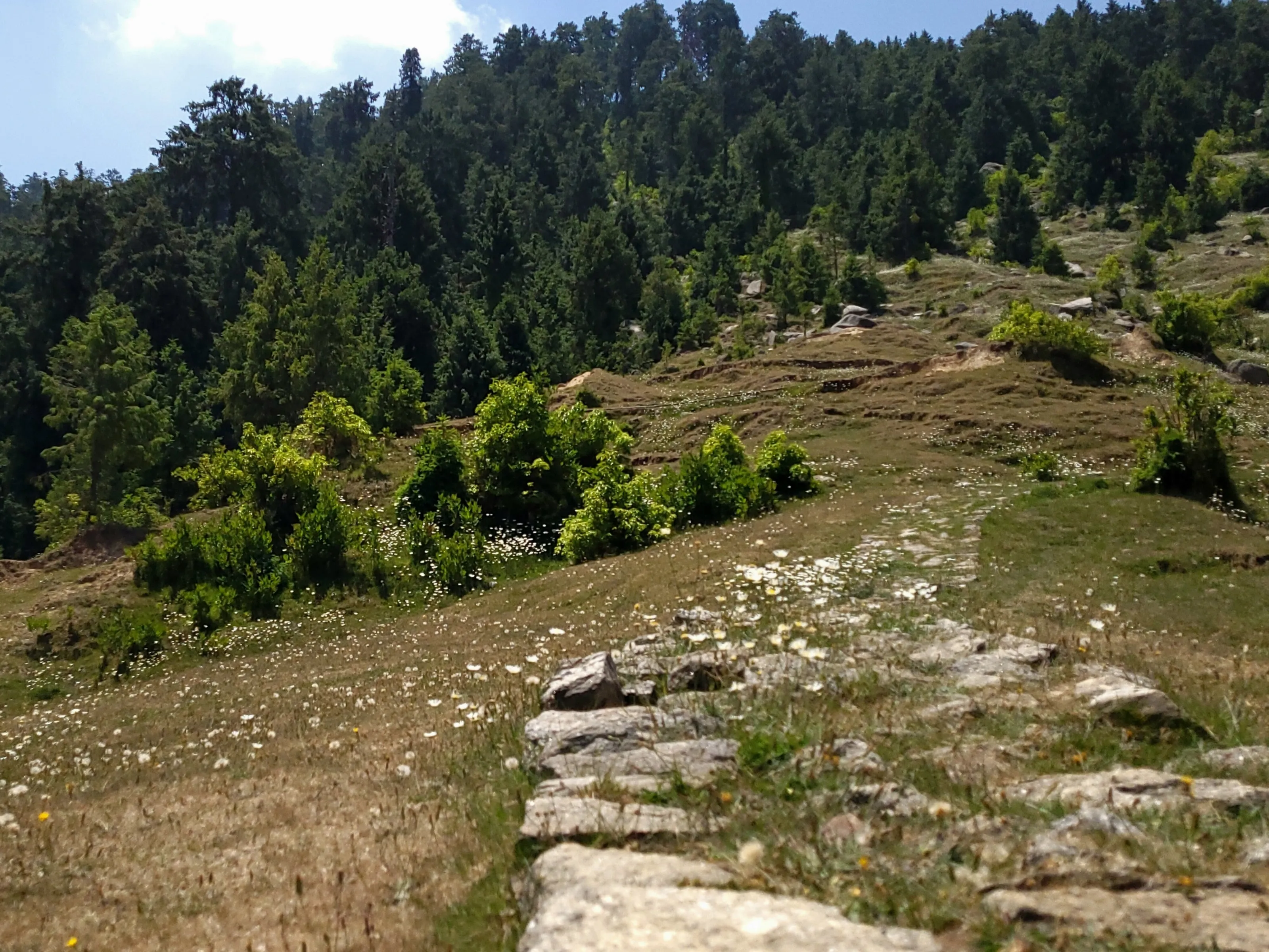 Path on a Mountain
