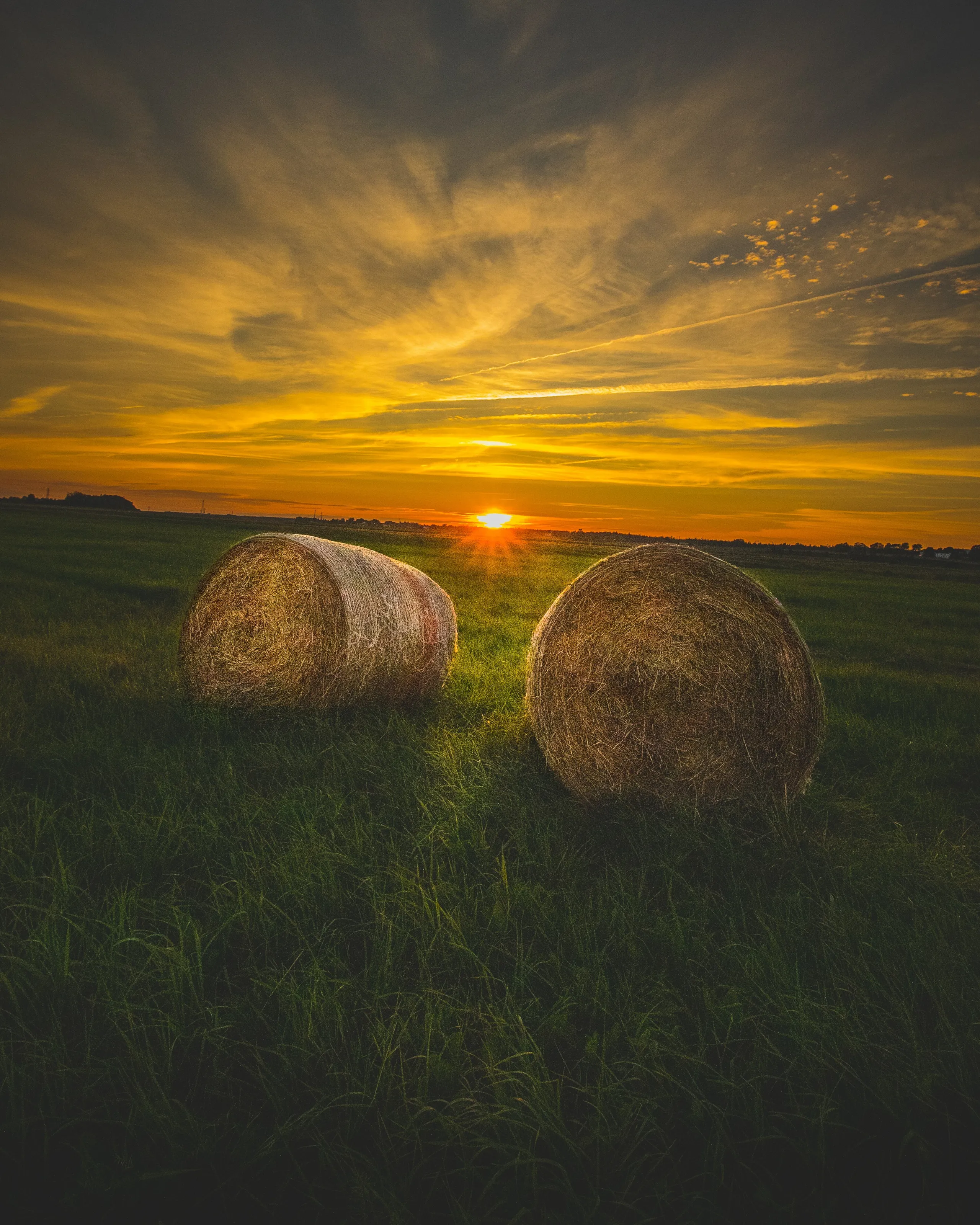 Hay Sun, Goodnight