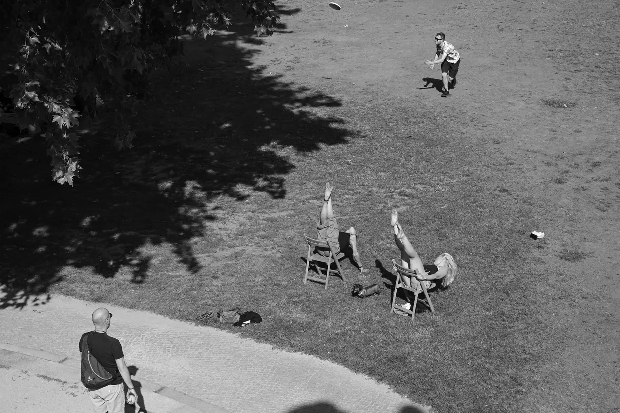 Entry 21702604