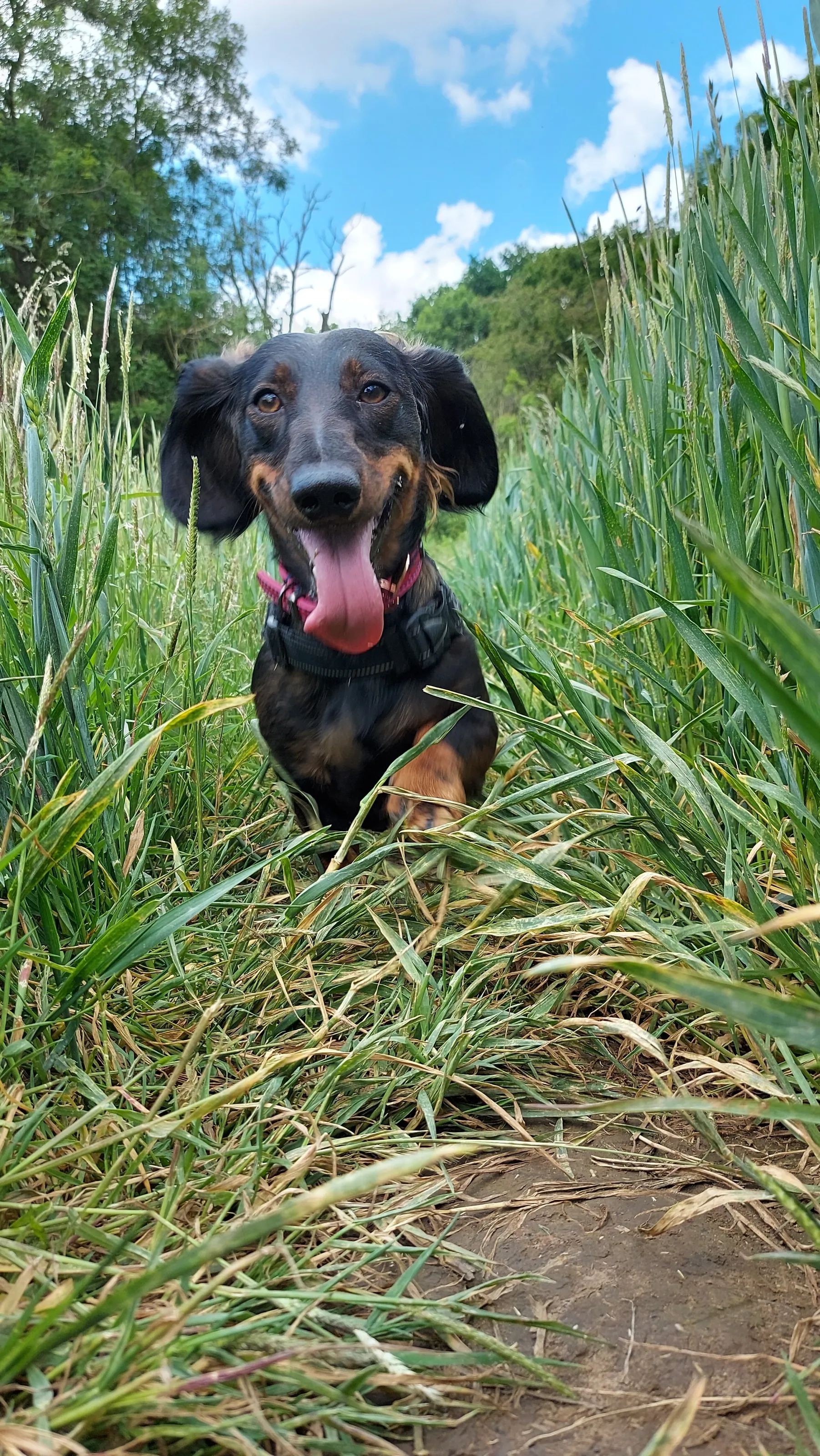 Enjoying my walkies