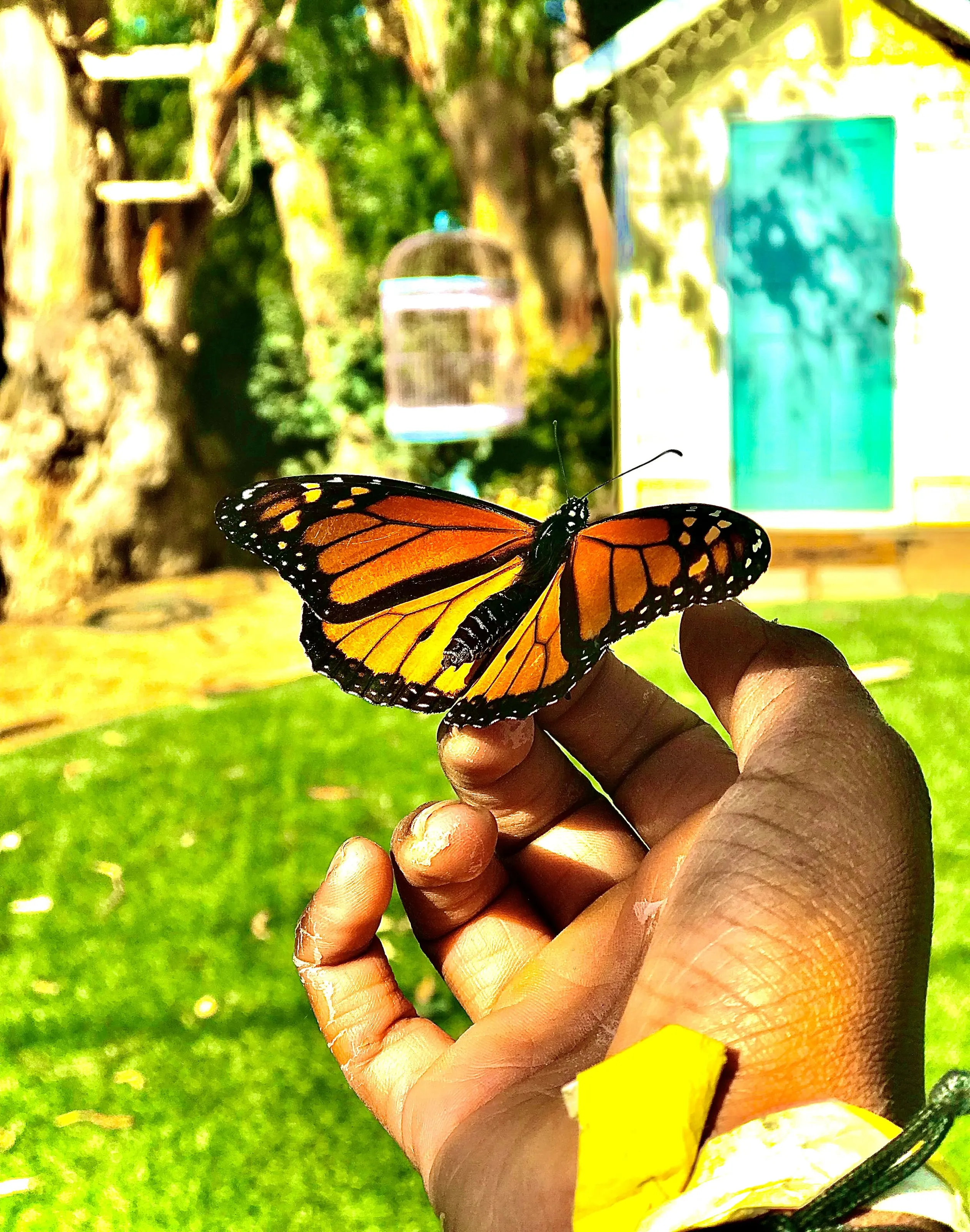 A Touch Of Beauty