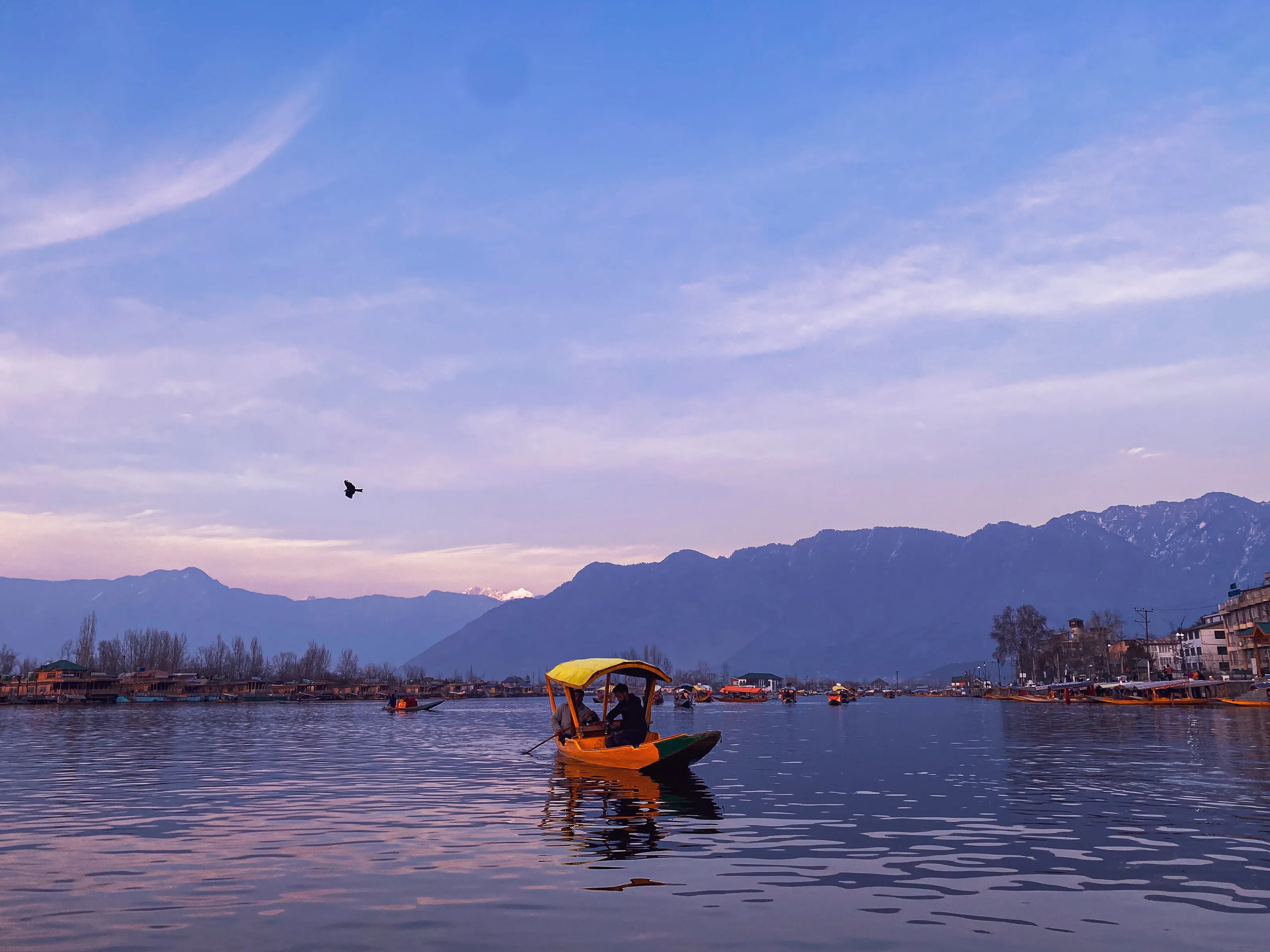 Serene Srinagar