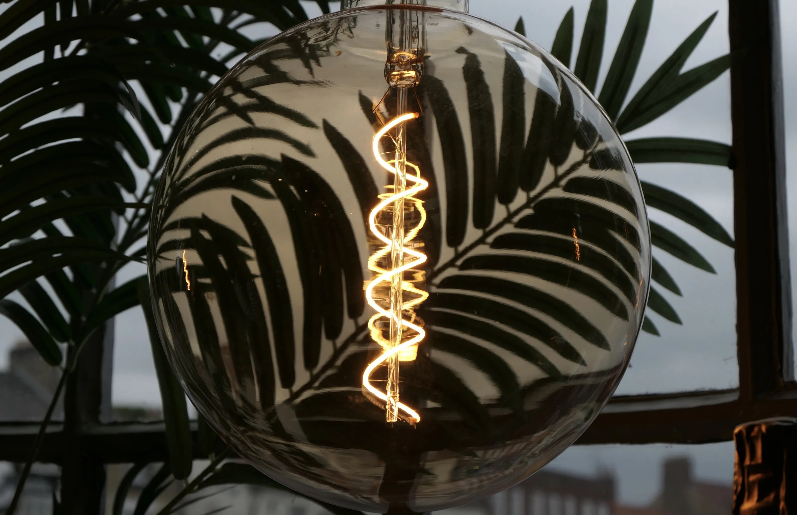 Glowing Fern