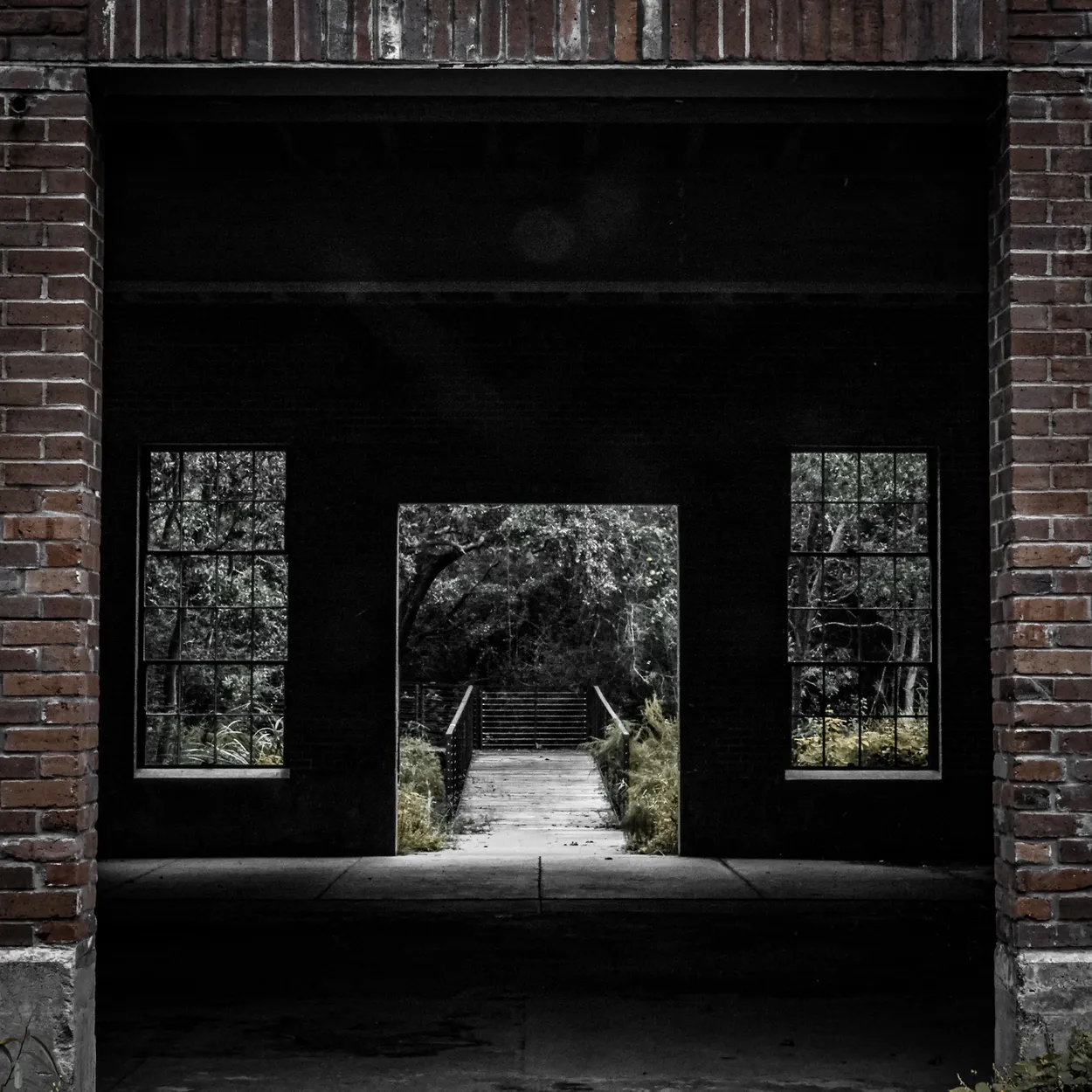 Entry 14038235