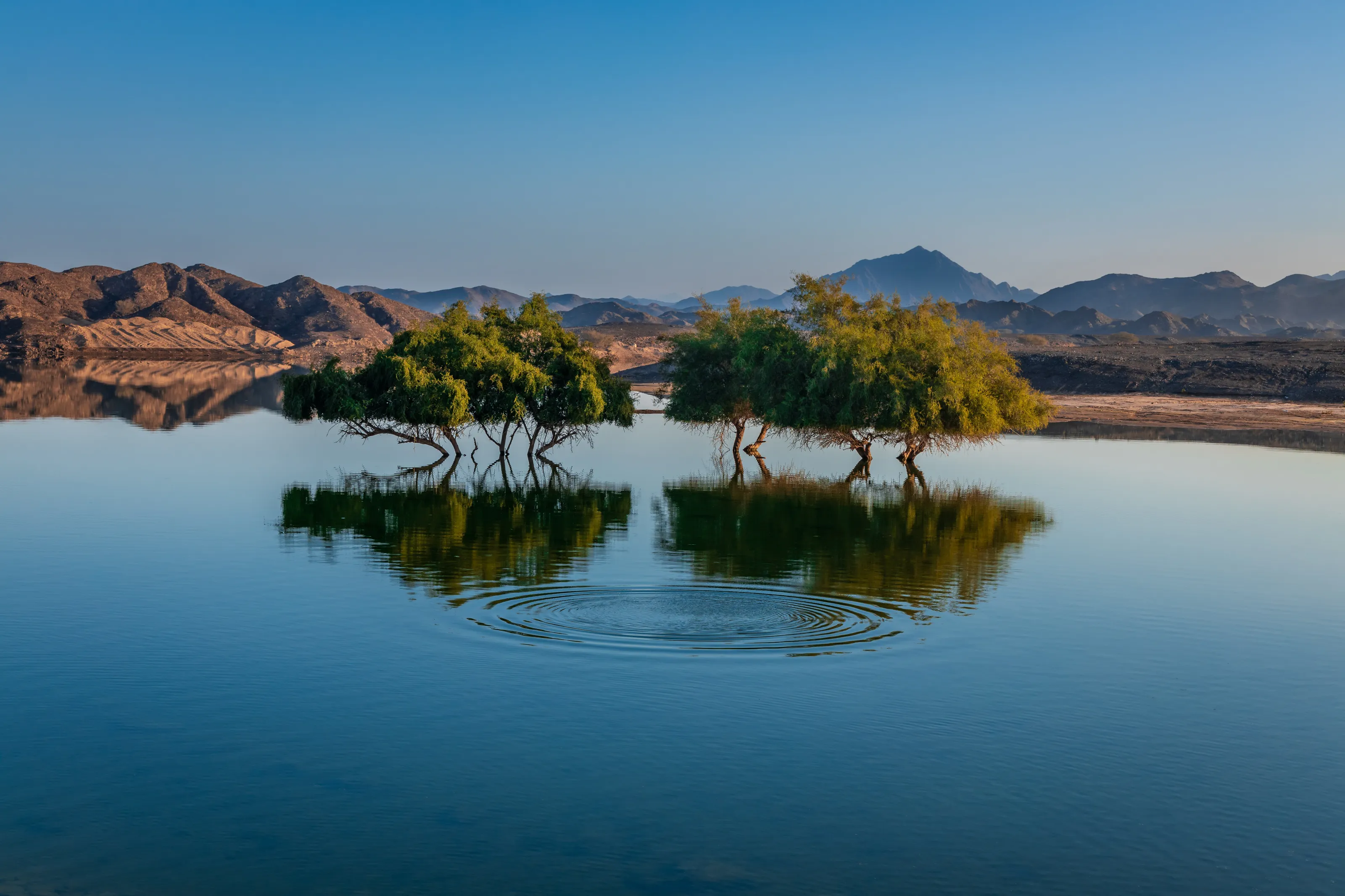 Reflections & Ripples