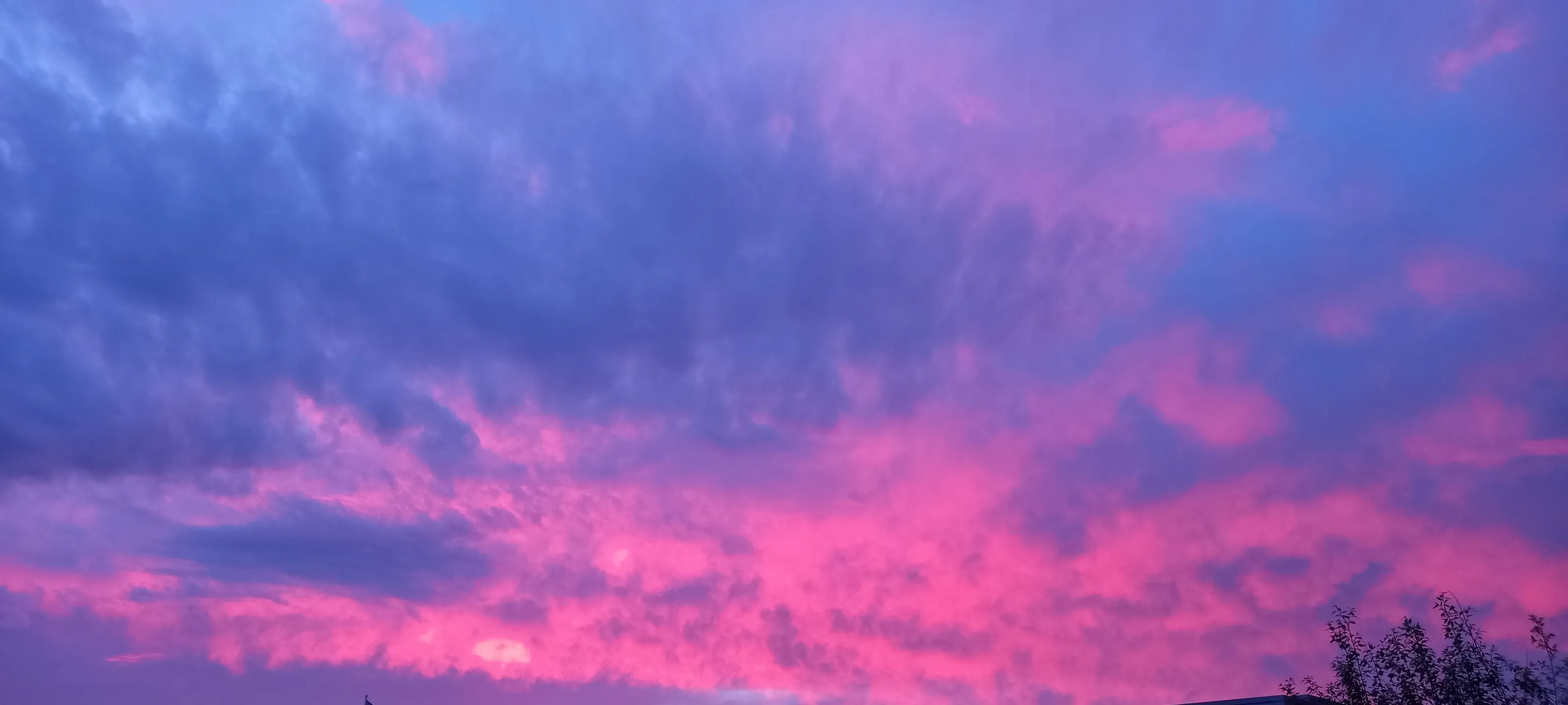 Banner image