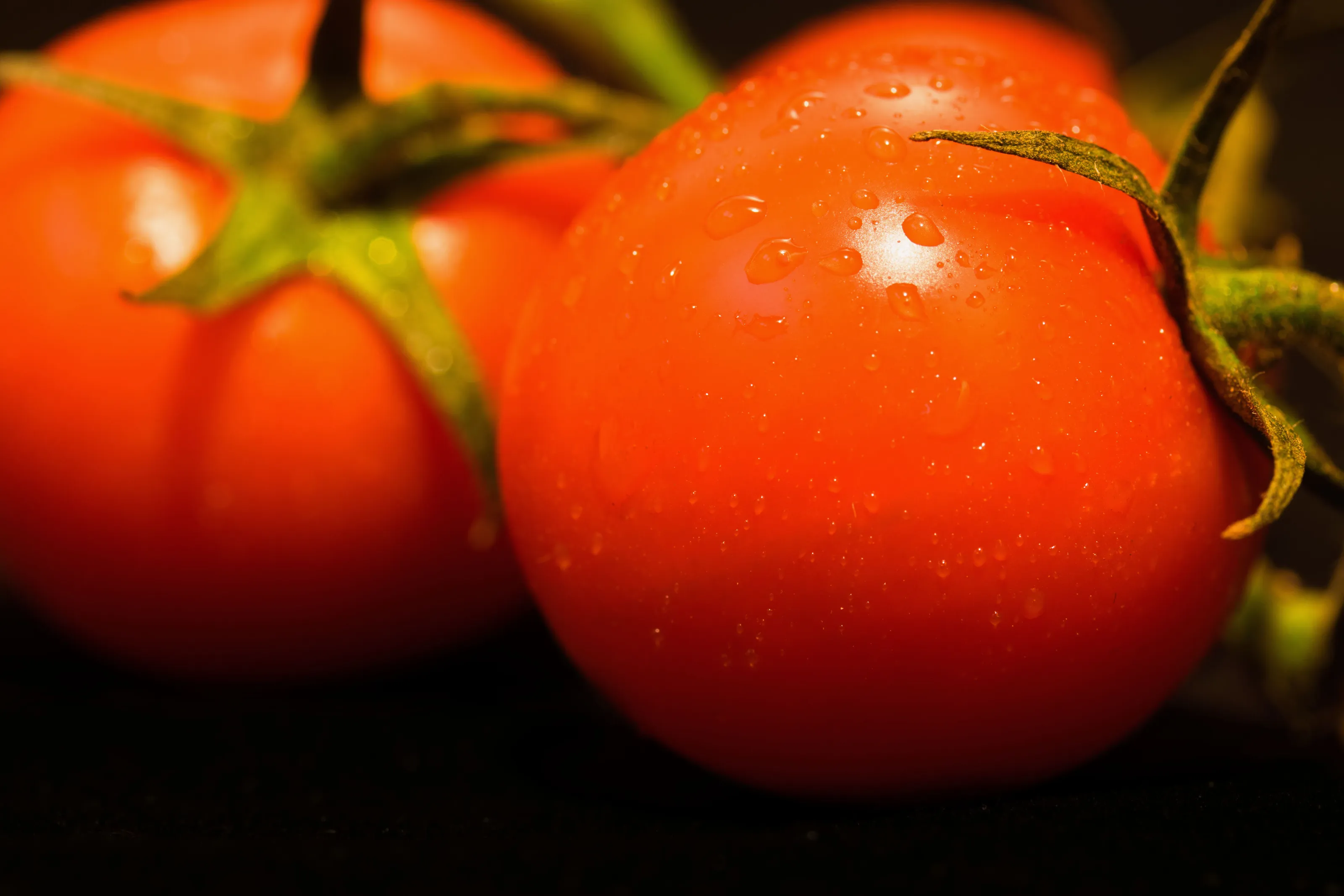 Tomato