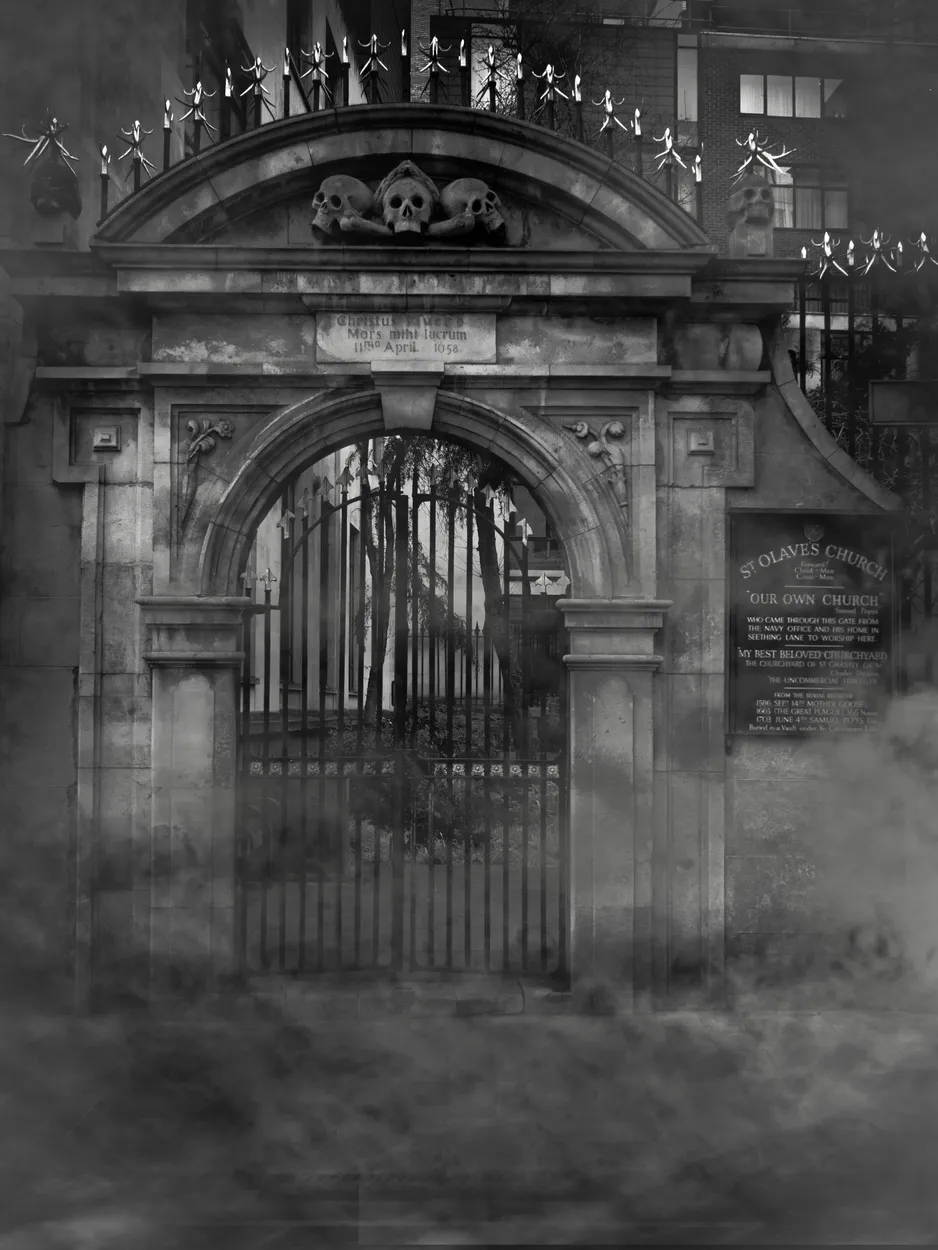 Entry 17558802