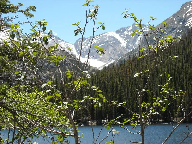 Colorado with a view