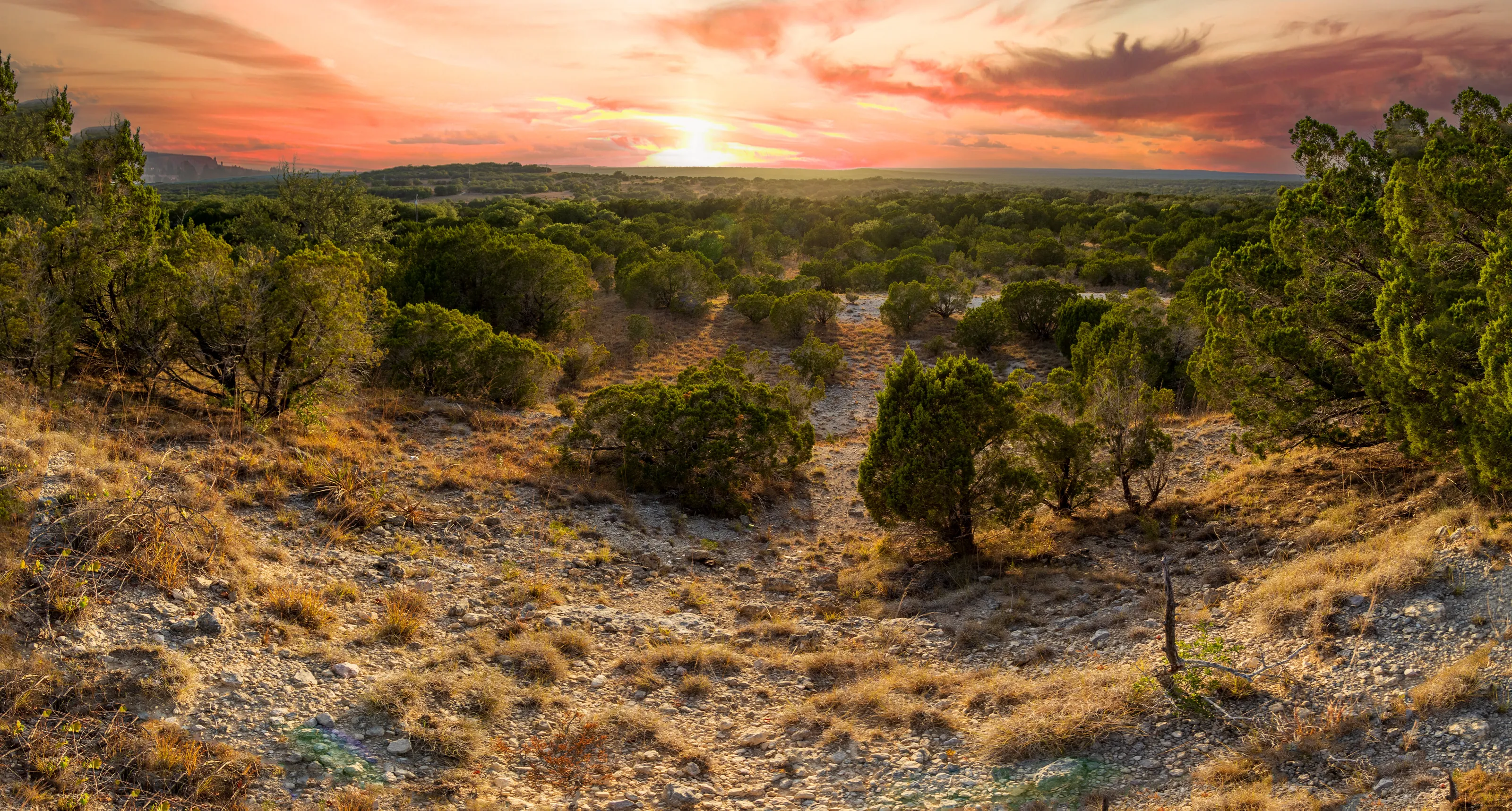 Texas Ranch