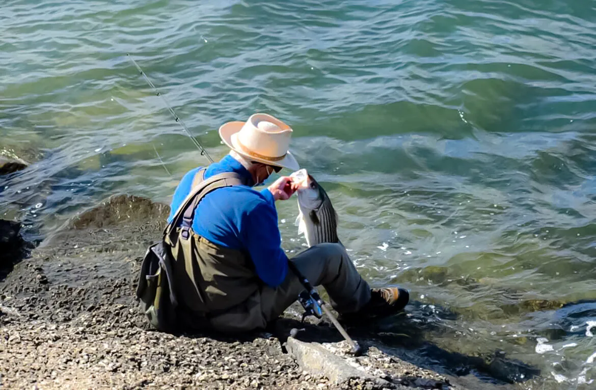 The reward of fishing