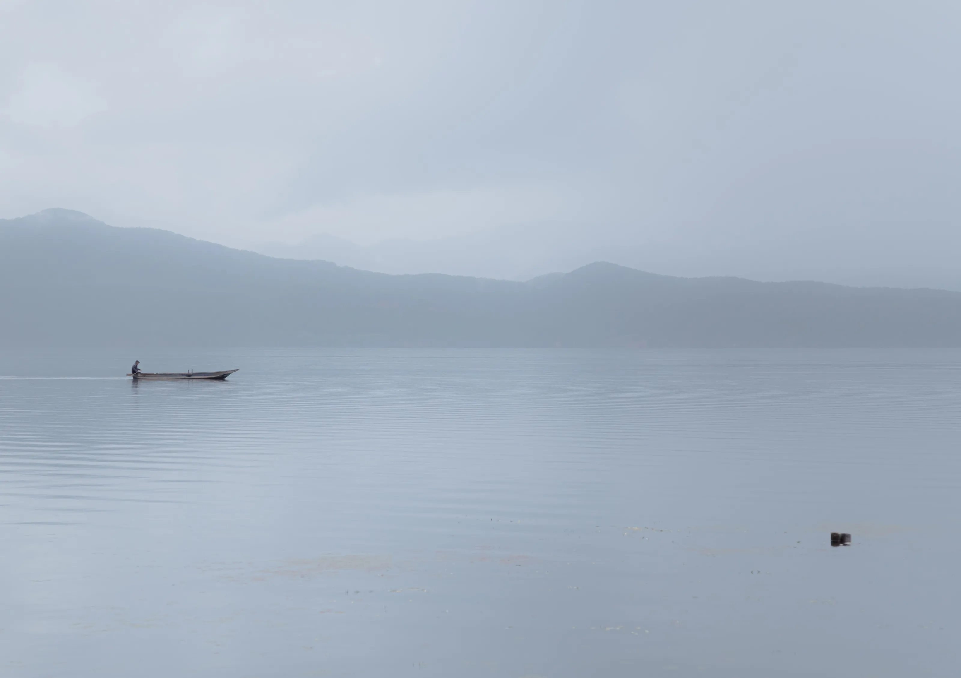 A calm moment