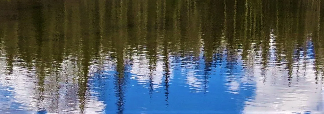 Banner image