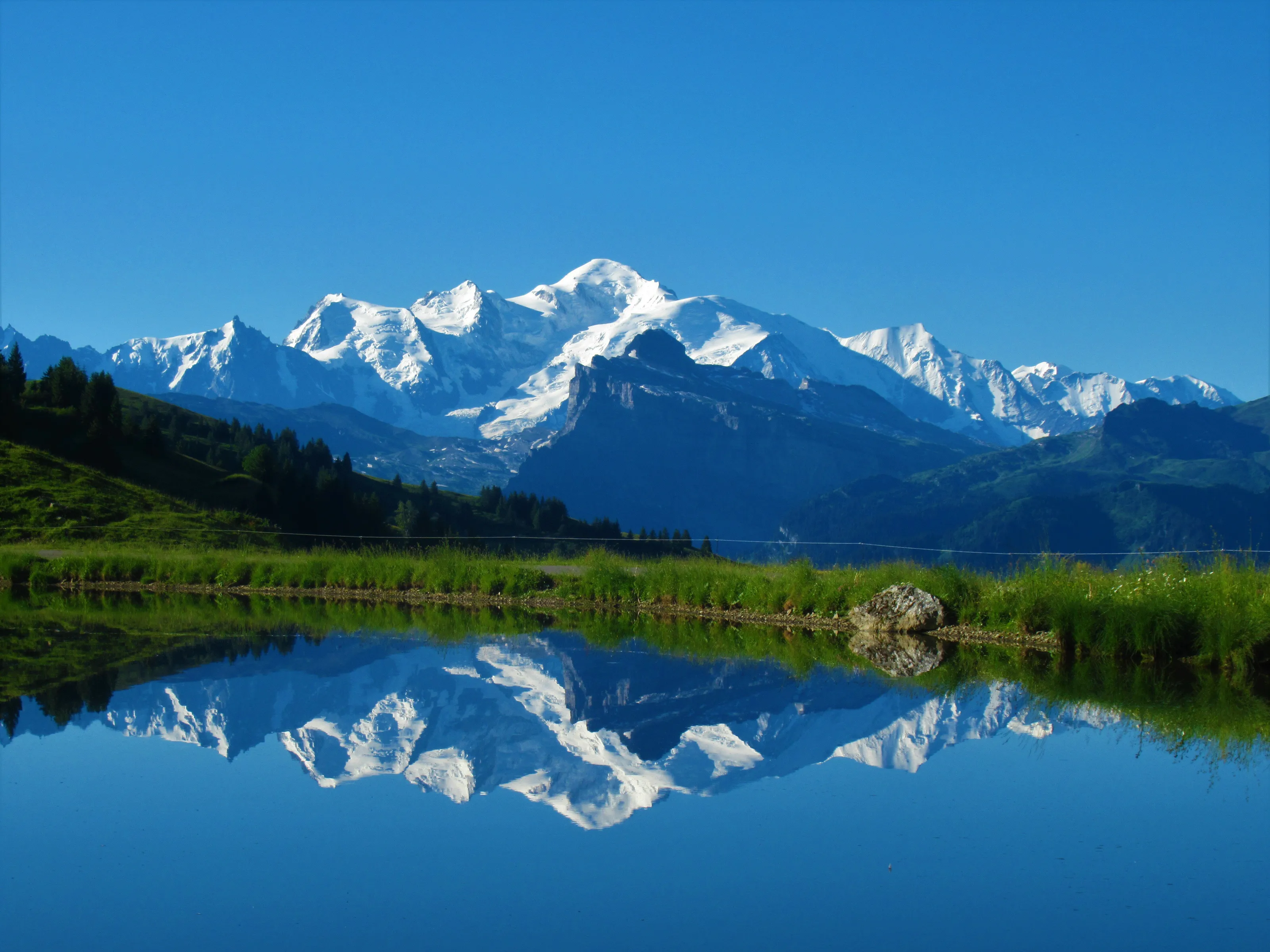 Reflecting on the high life!