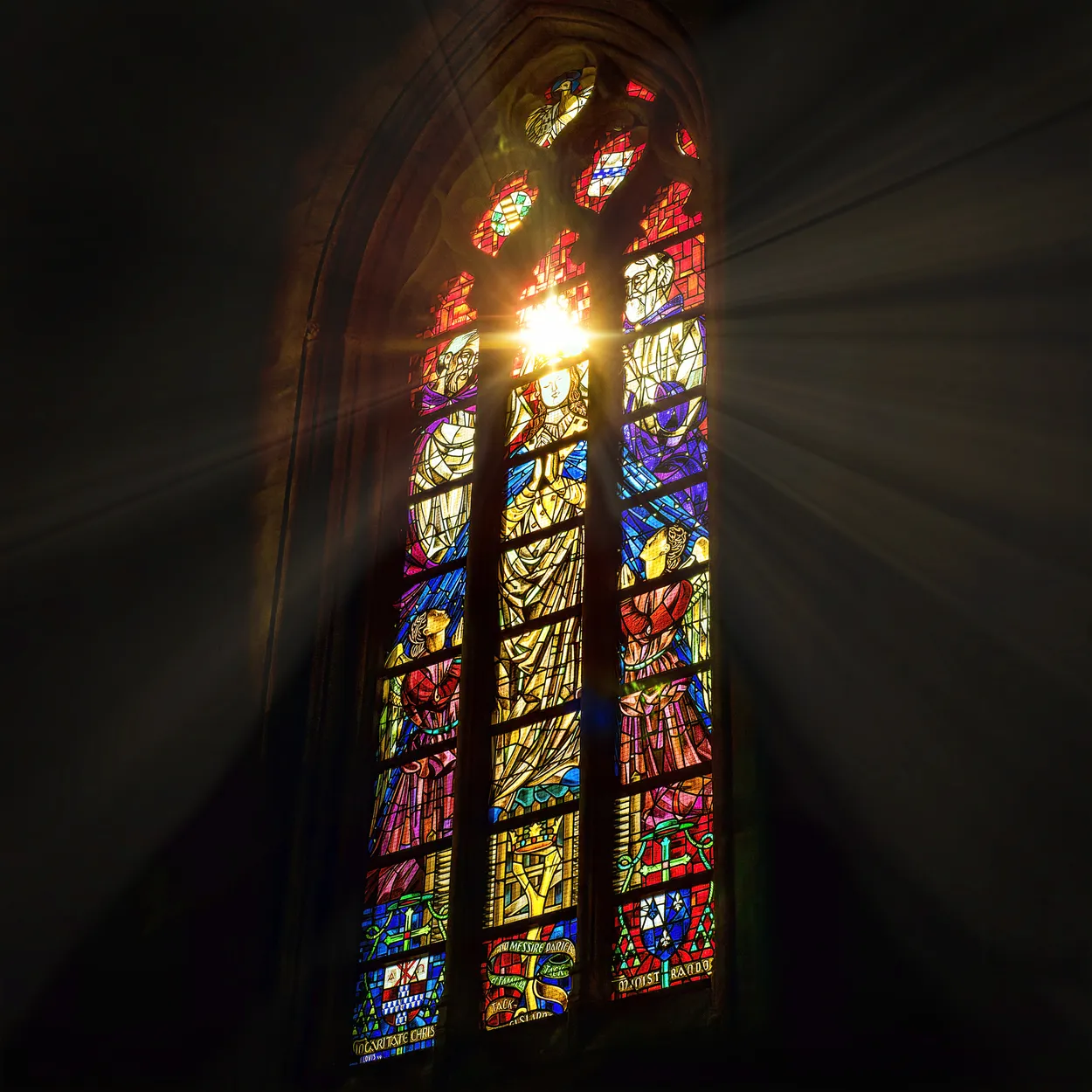 Entry 18149435