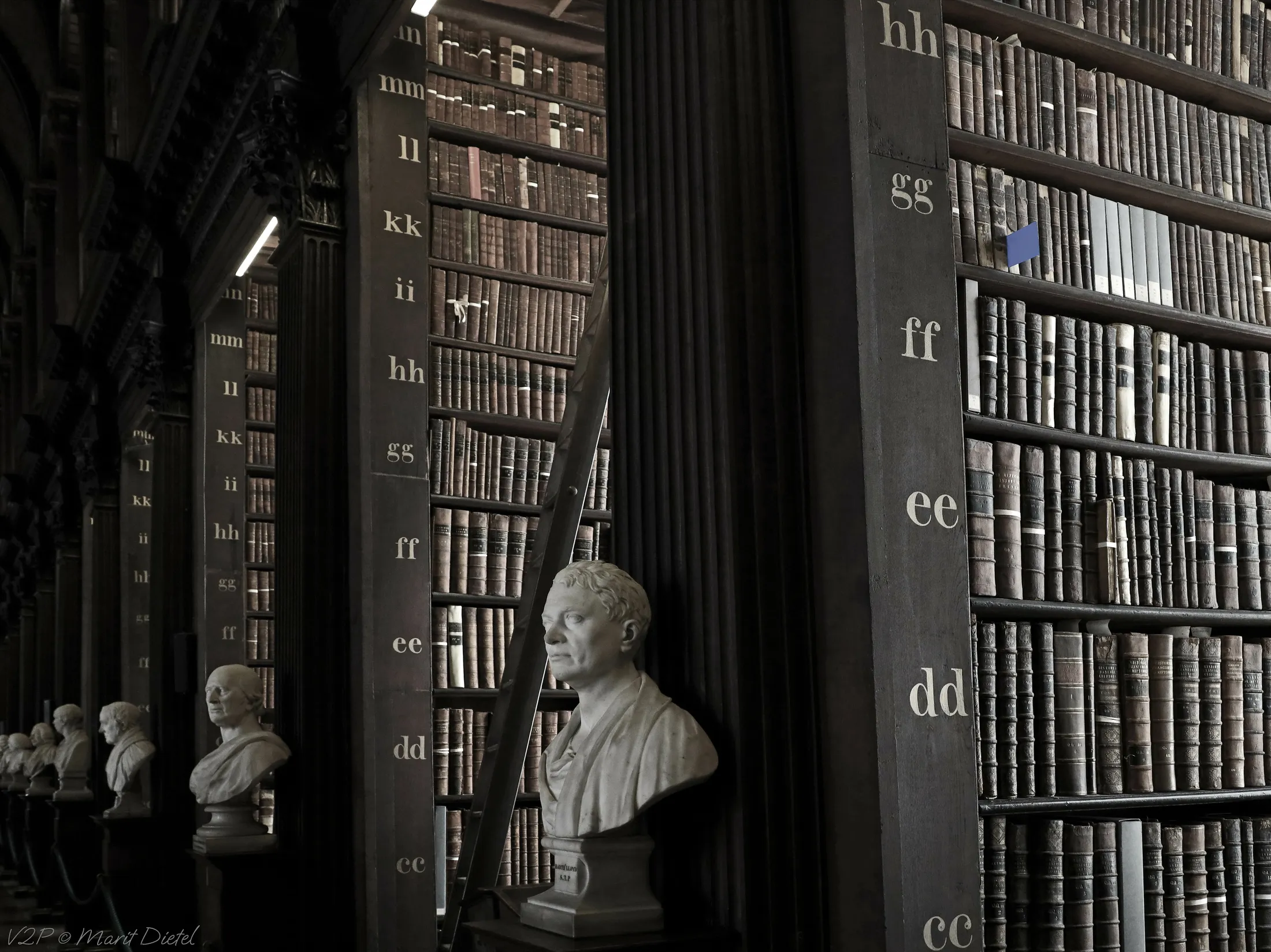 Row of busts