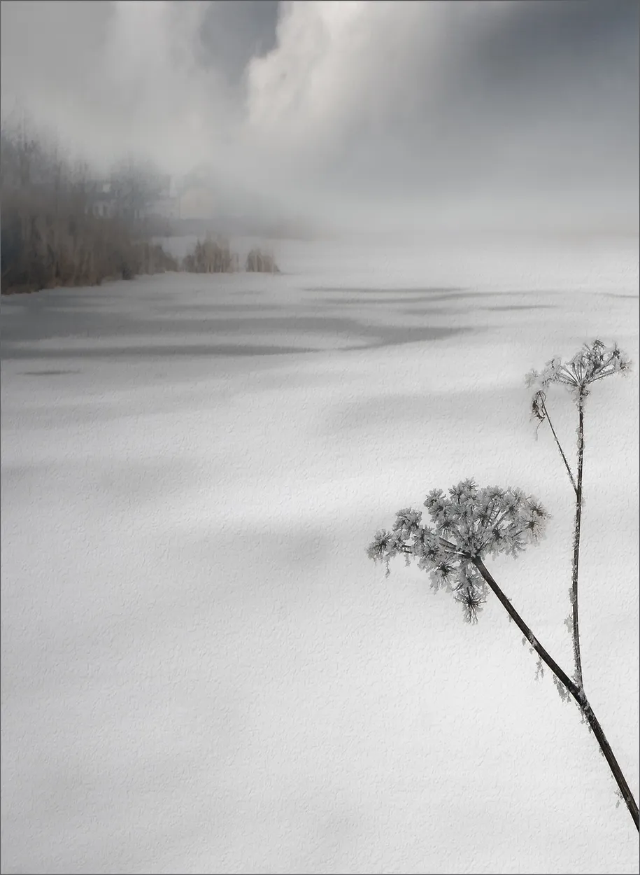 Entry 19535728