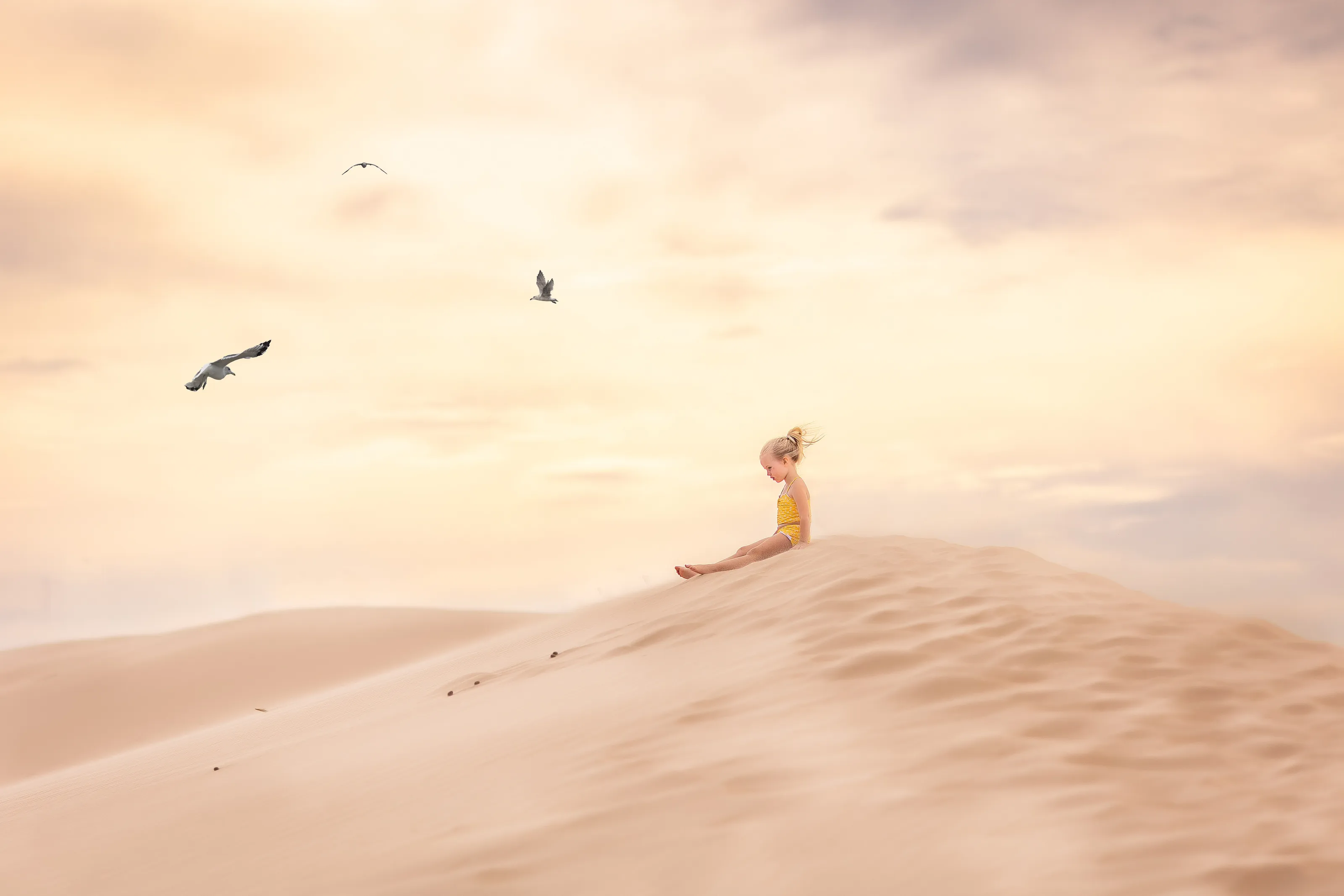 Banner image