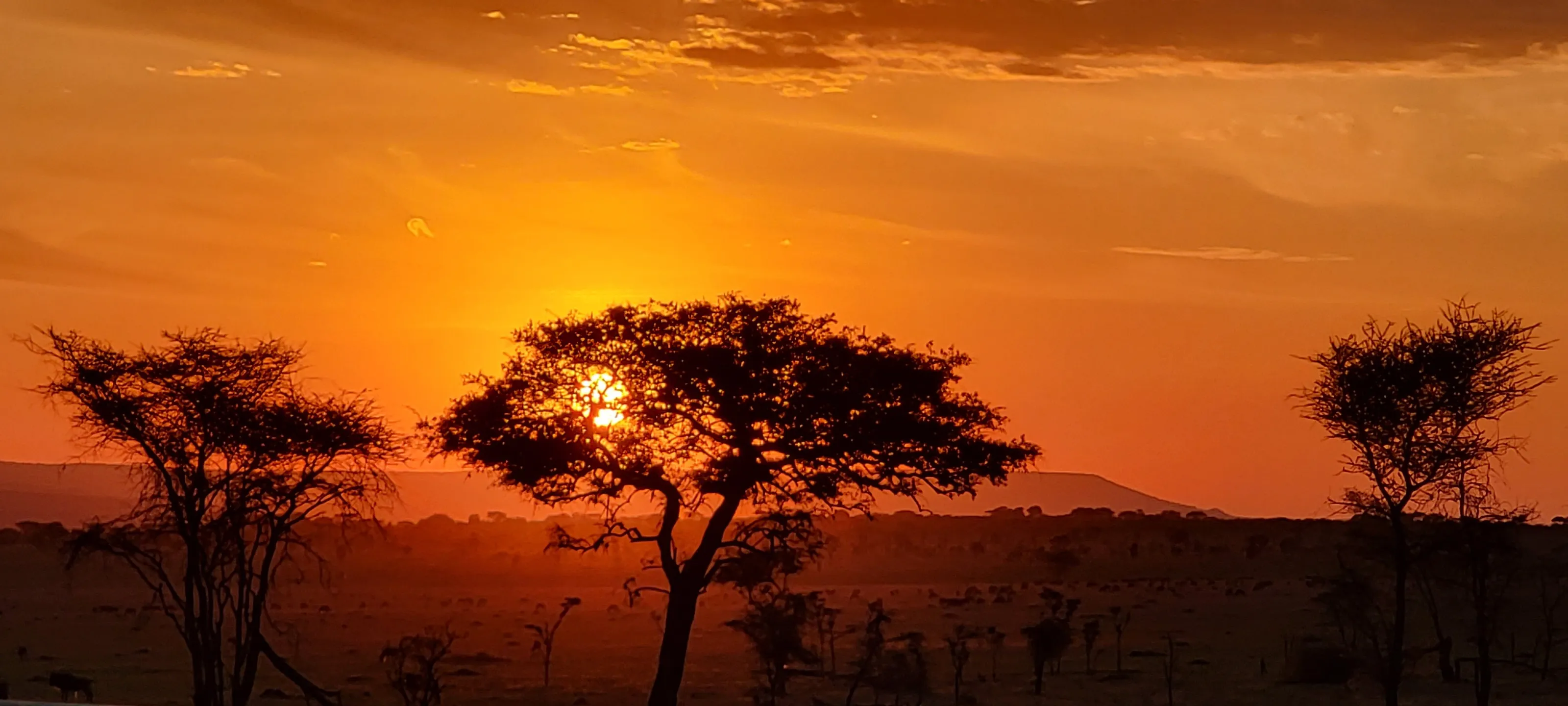 Sunset on plains