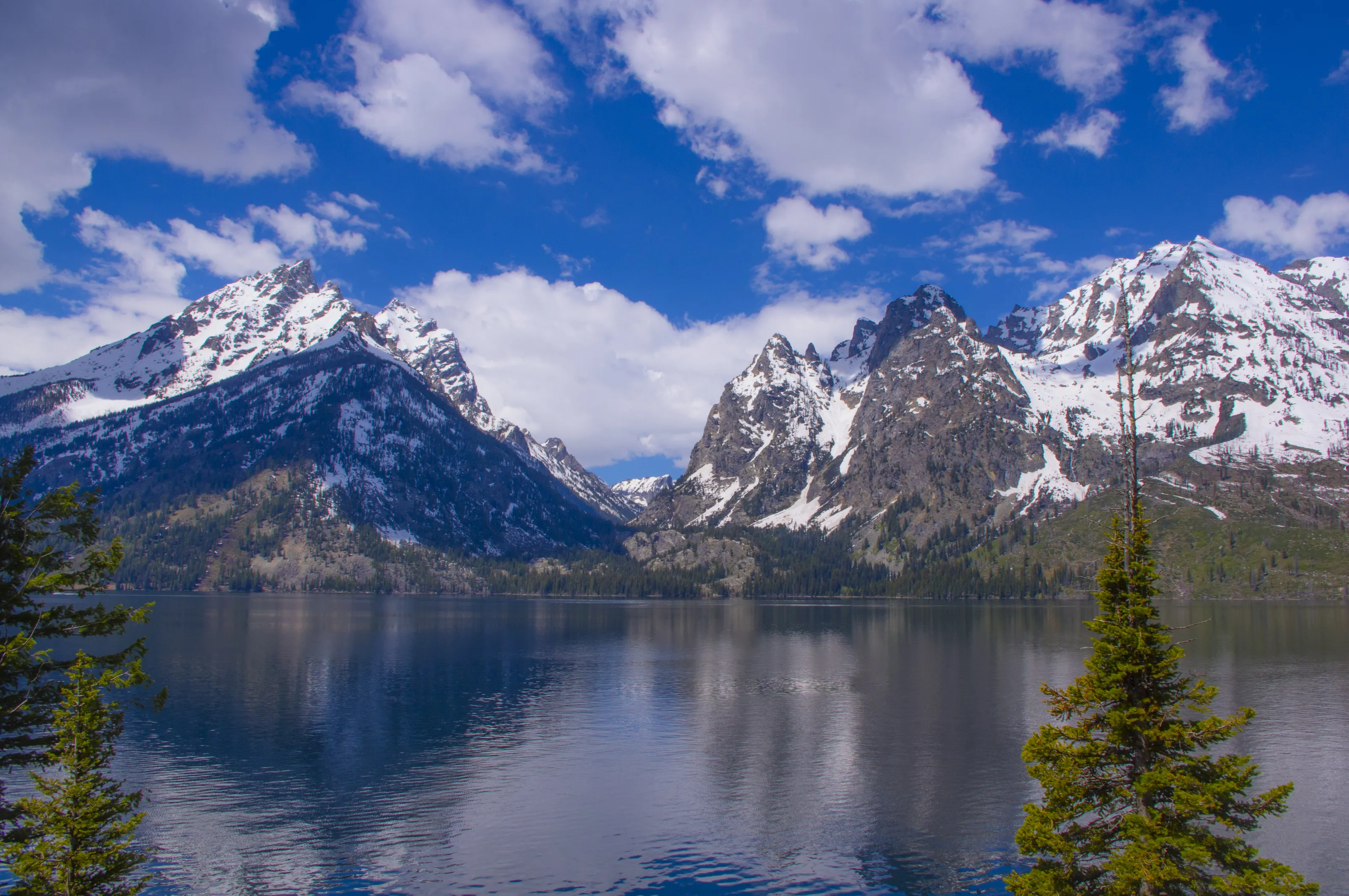 Jenny Lake