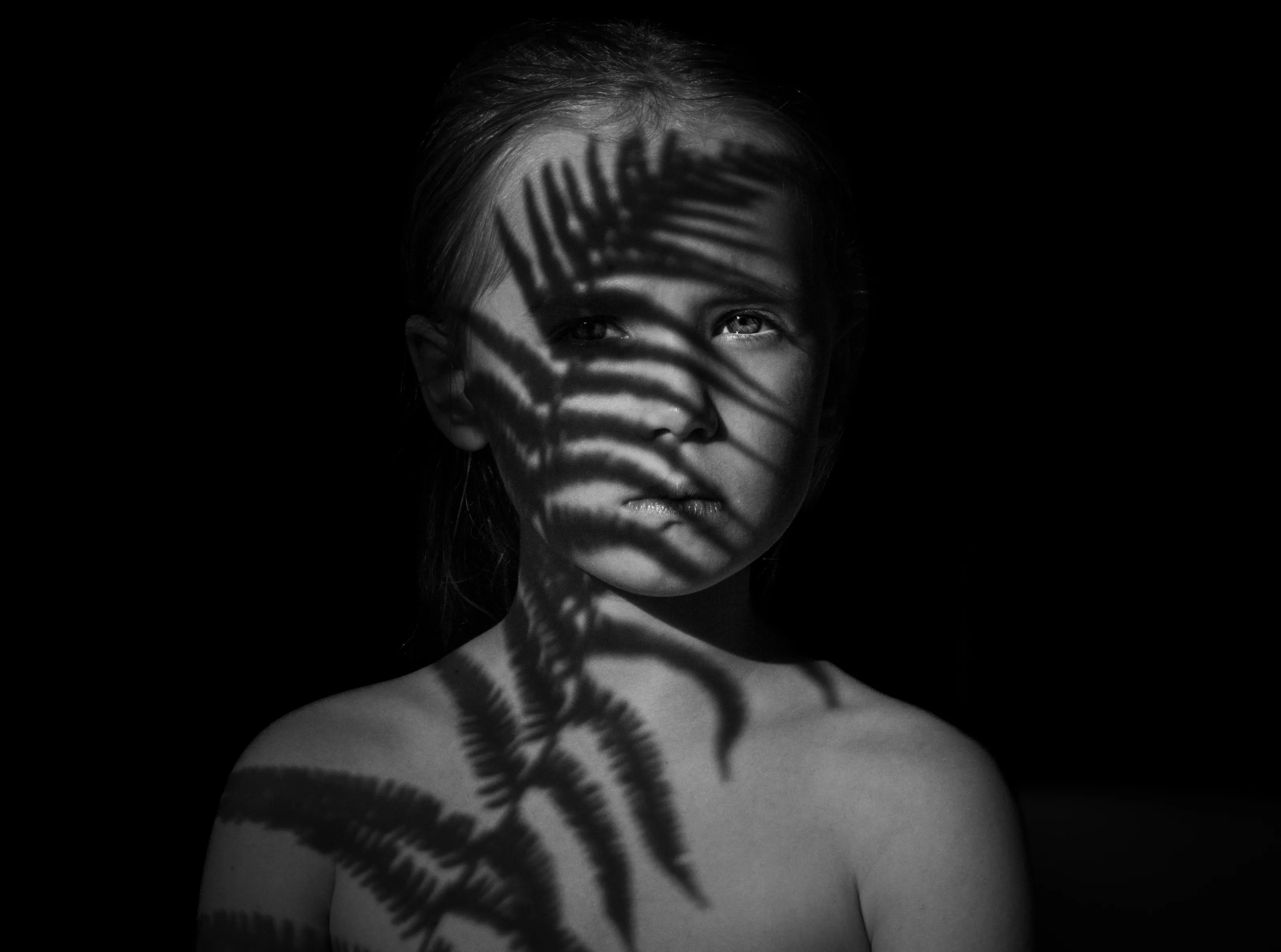 Tiger Stripes