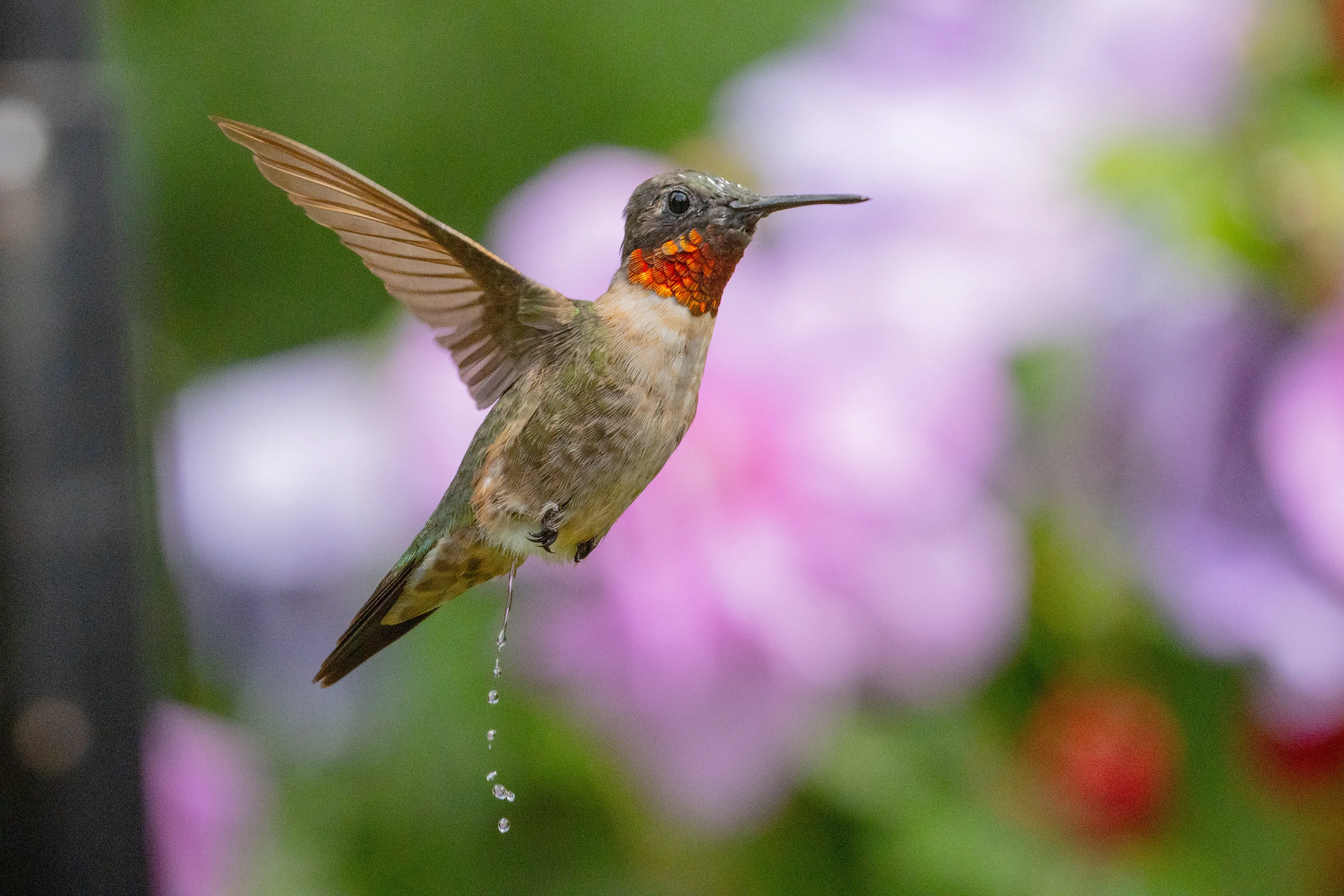 when you gotta go, you gotta go