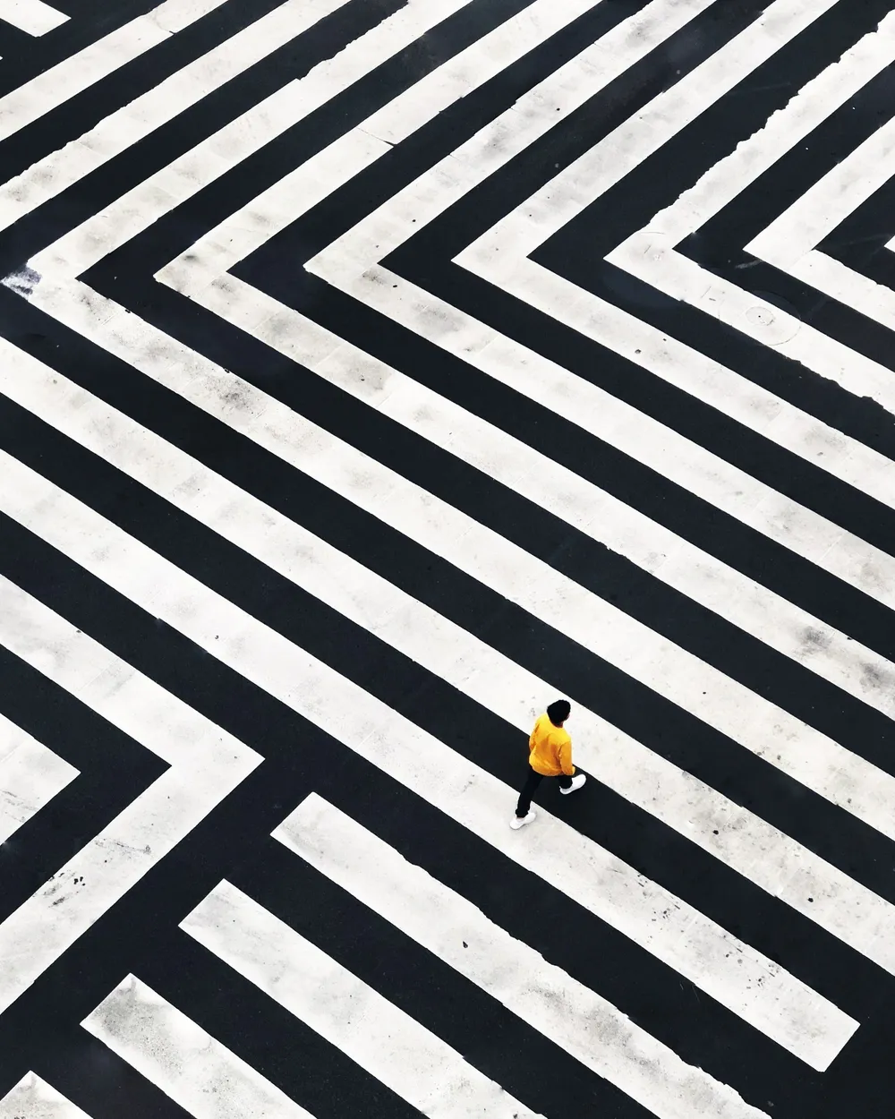Entry 13950836