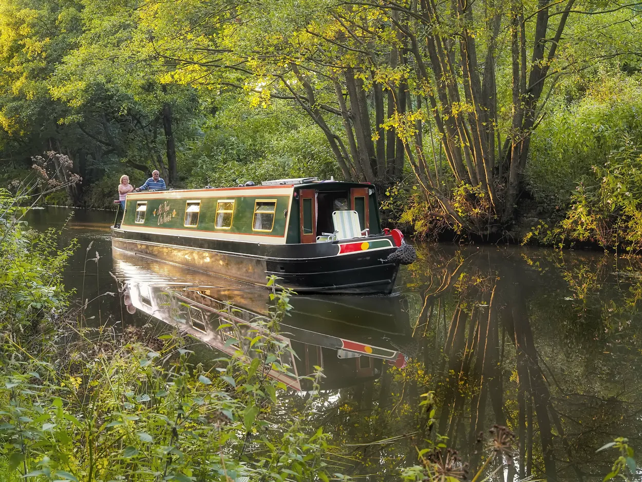 Entry 18562821