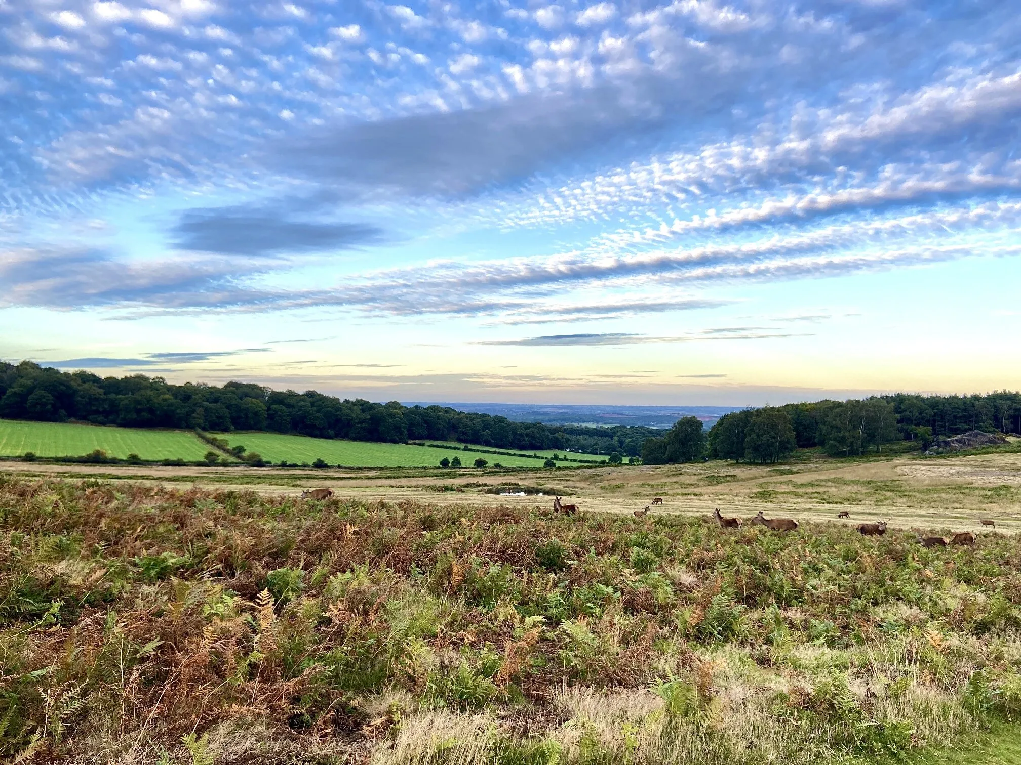 Views and skies