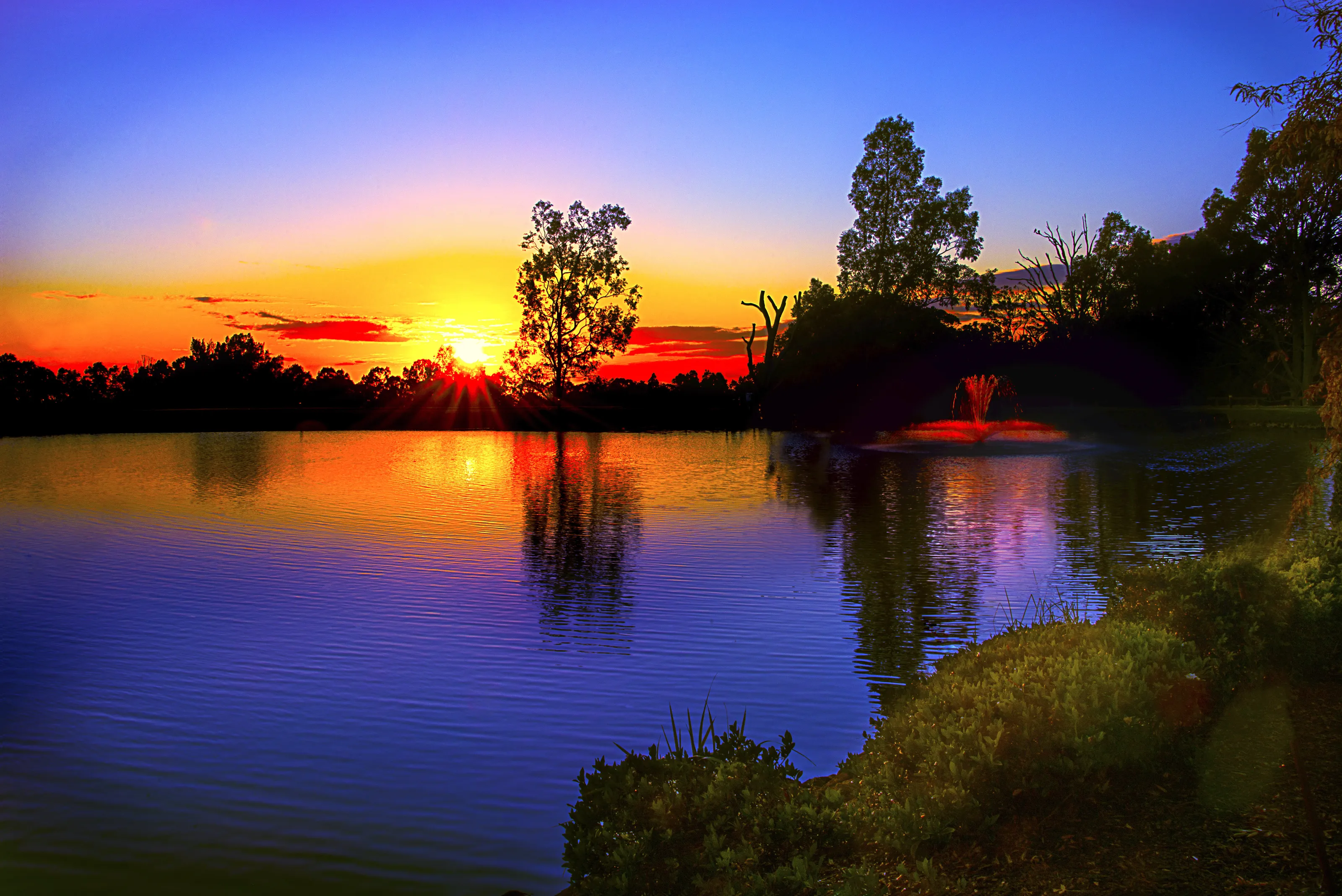 Sunrise Cypress Lakes
